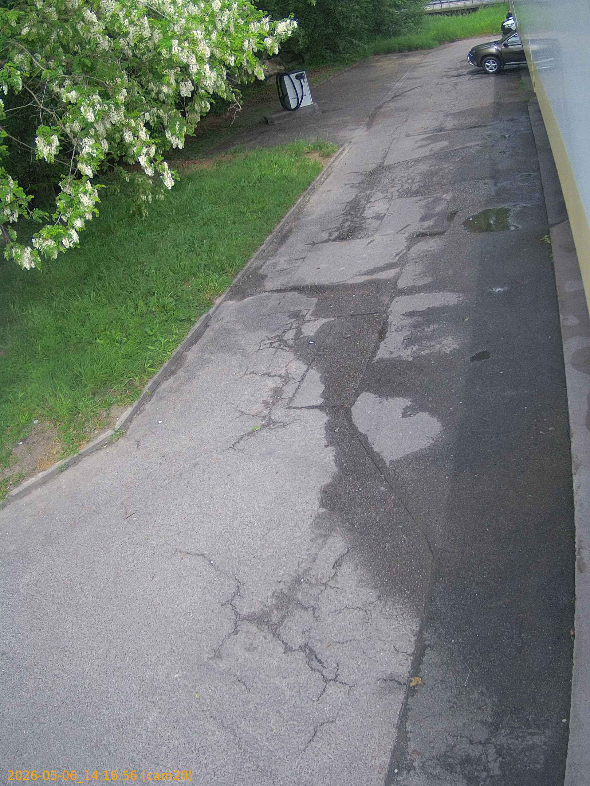 thumbnail_20260506141656