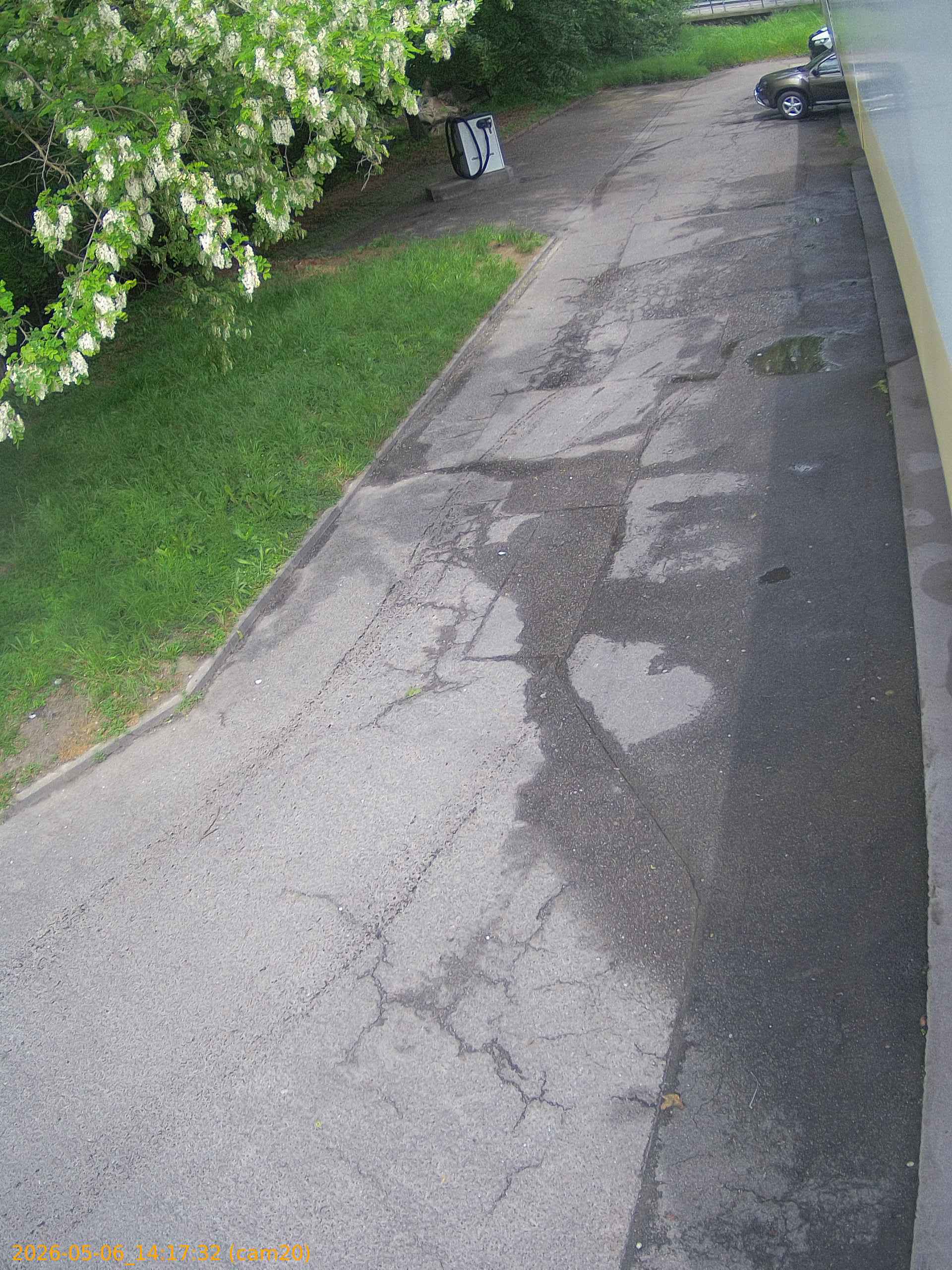 thumbnail_20260506141732