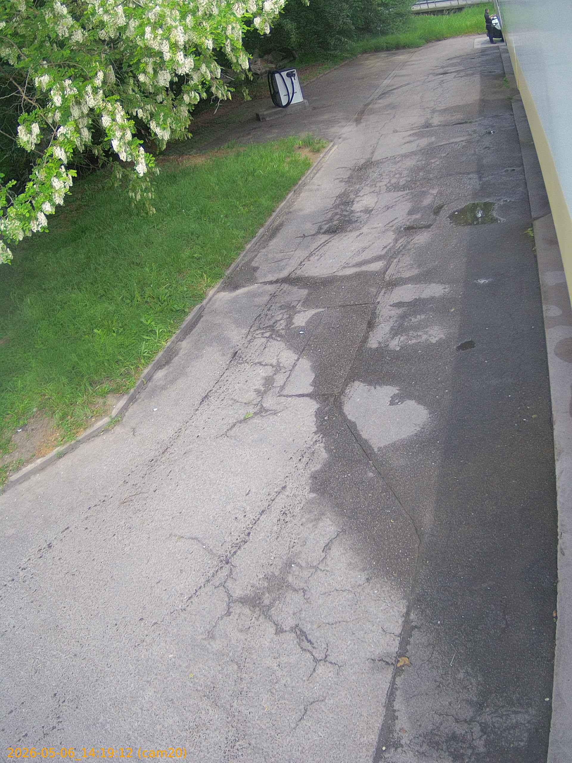 thumbnail_20260506141912