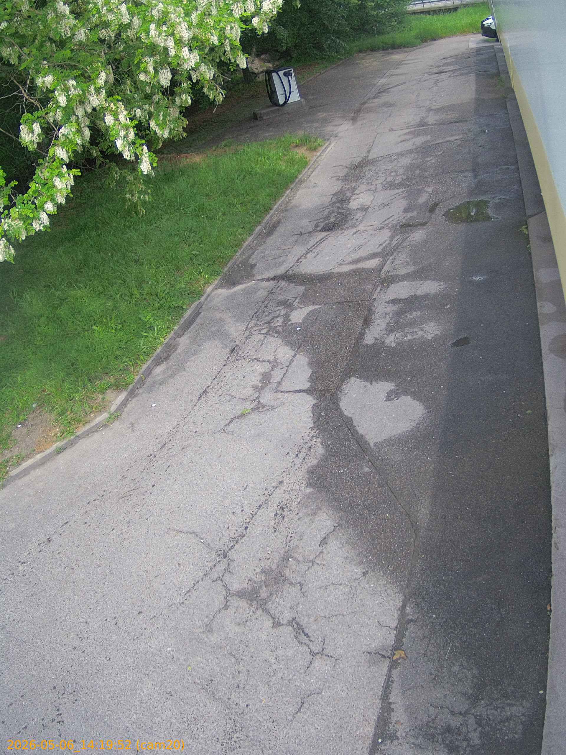 thumbnail_20260506141952