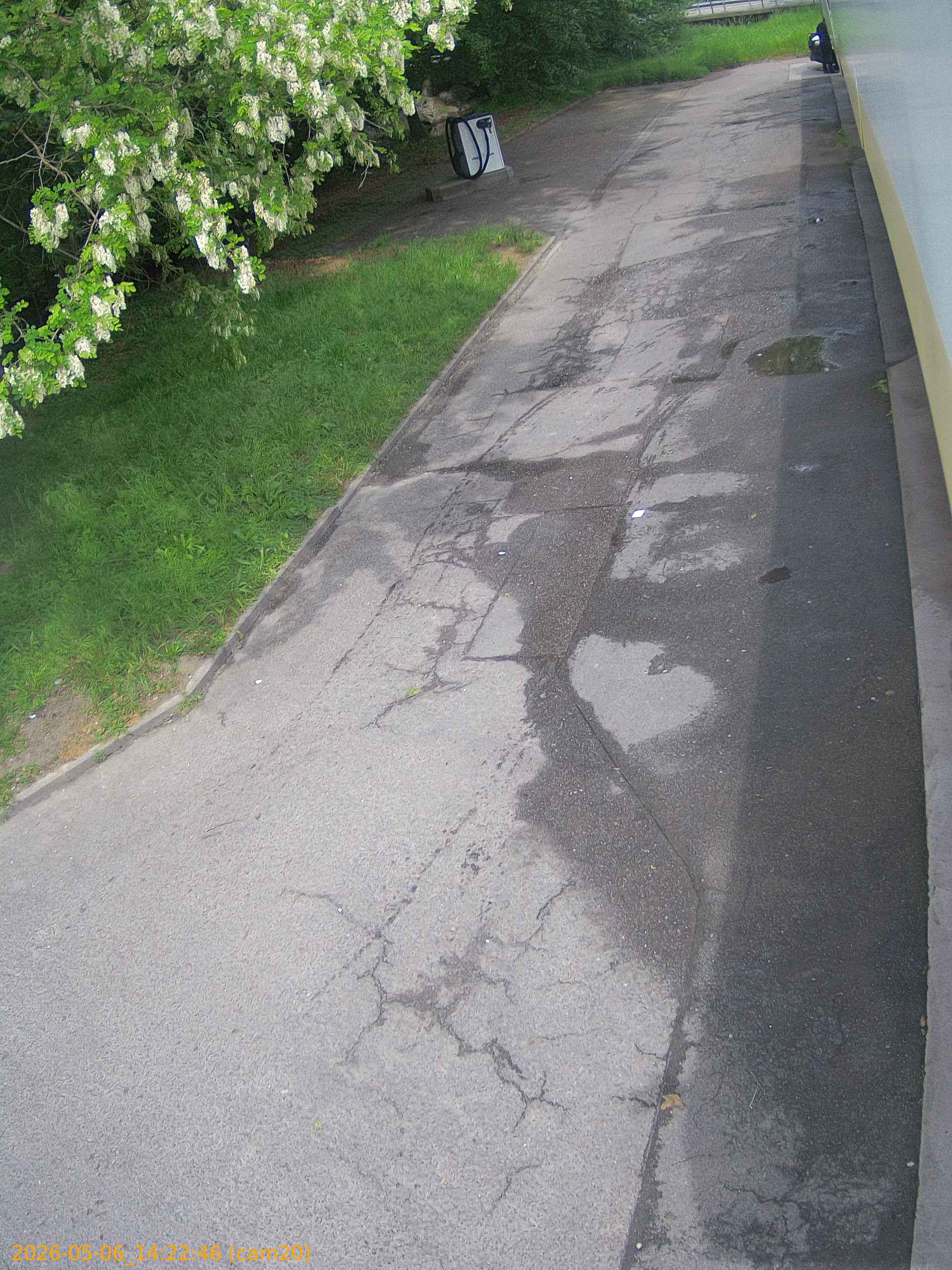 thumbnail_20260506142246