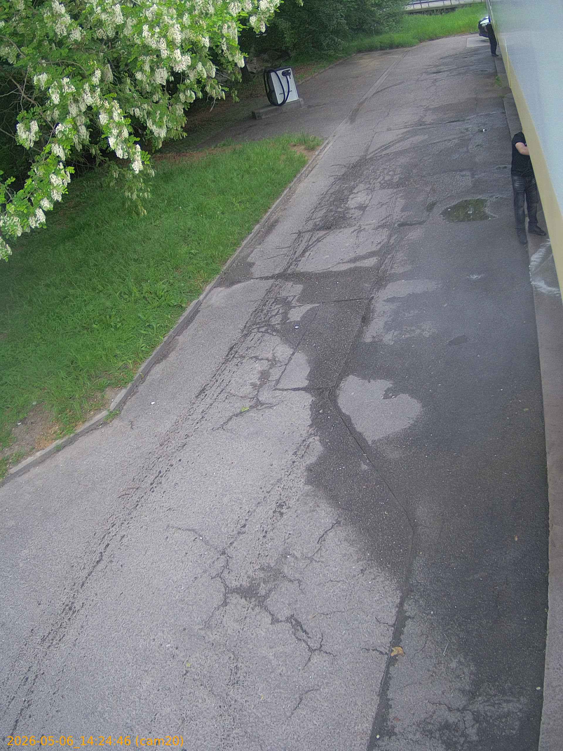 20260506142446