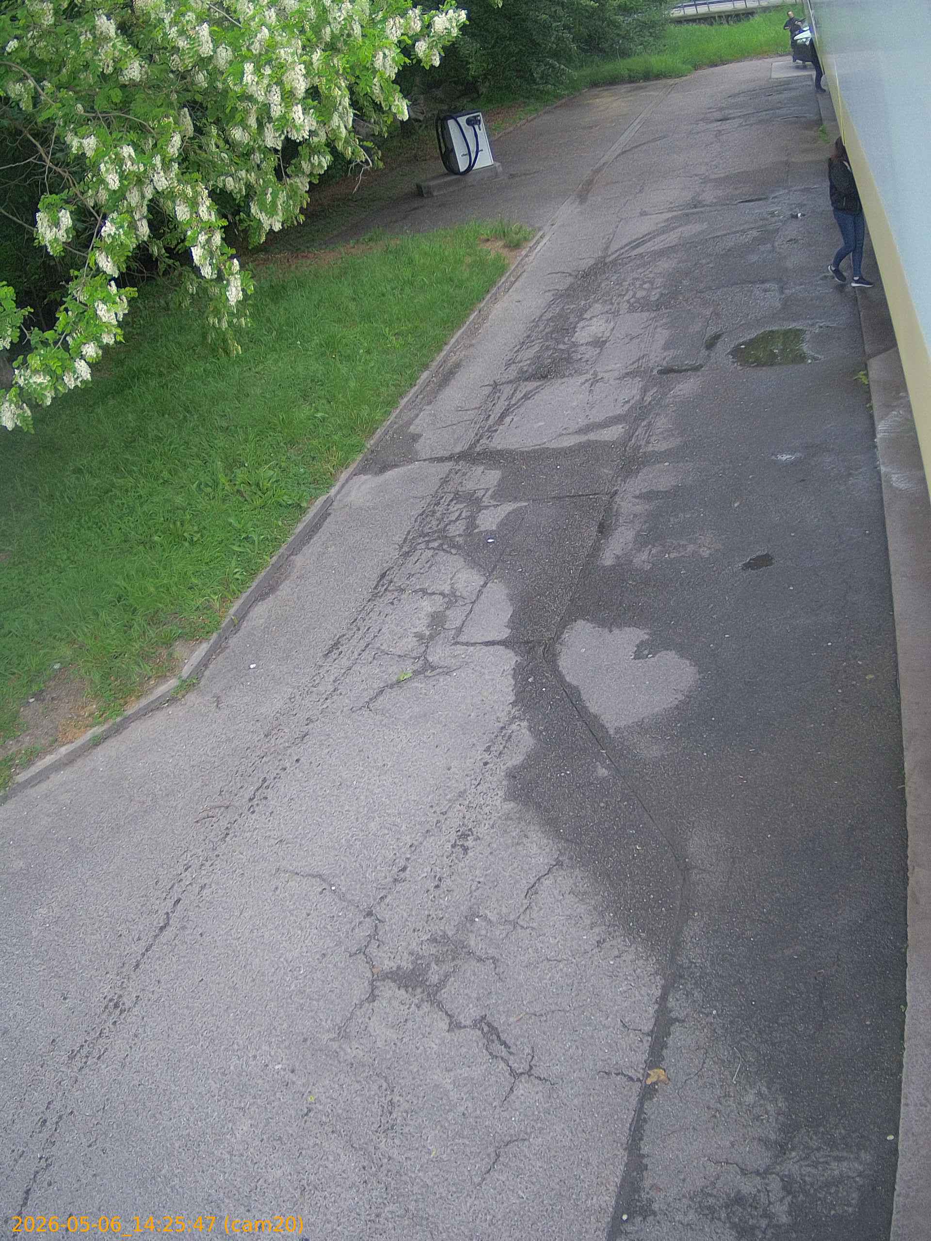 thumbnail_20260506142547