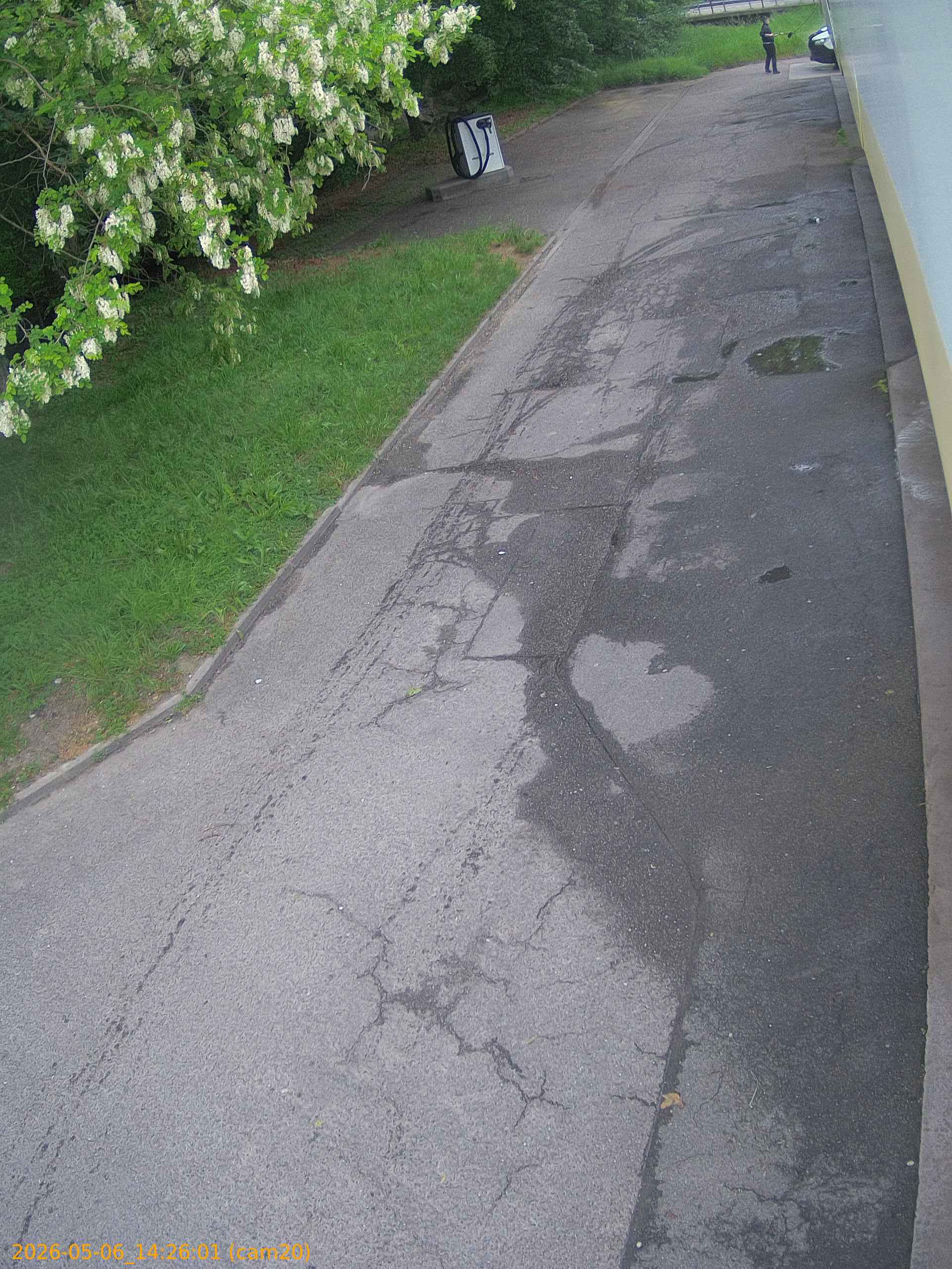 thumbnail_20260506142601