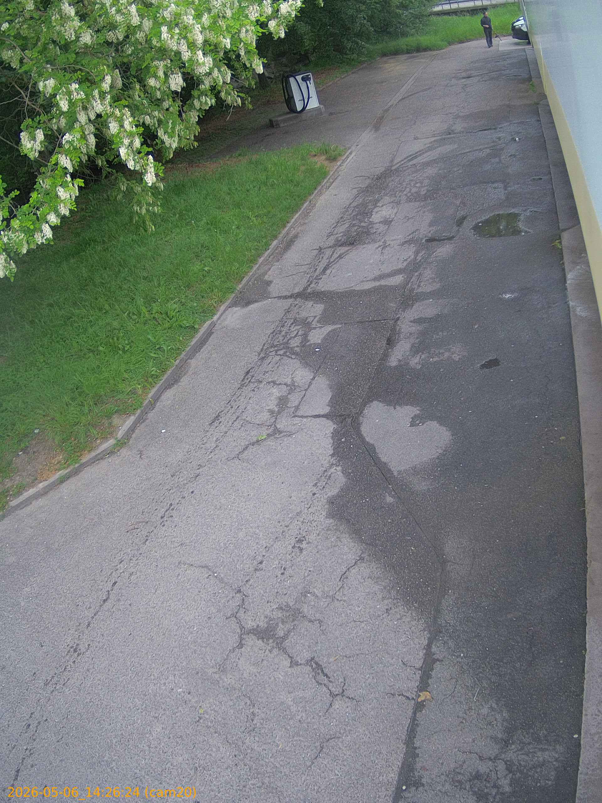 thumbnail_20260506142624