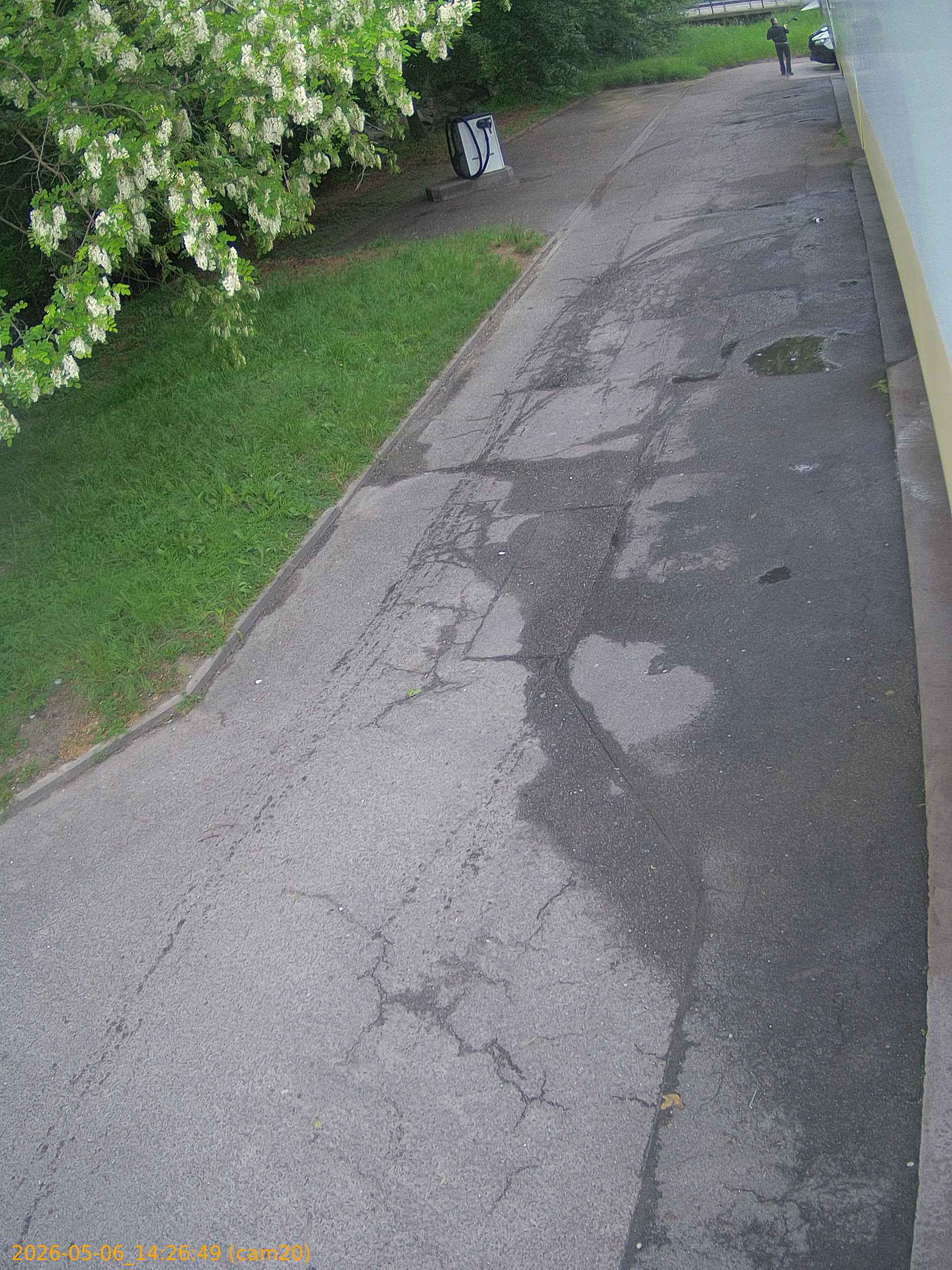 thumbnail_20260506142649