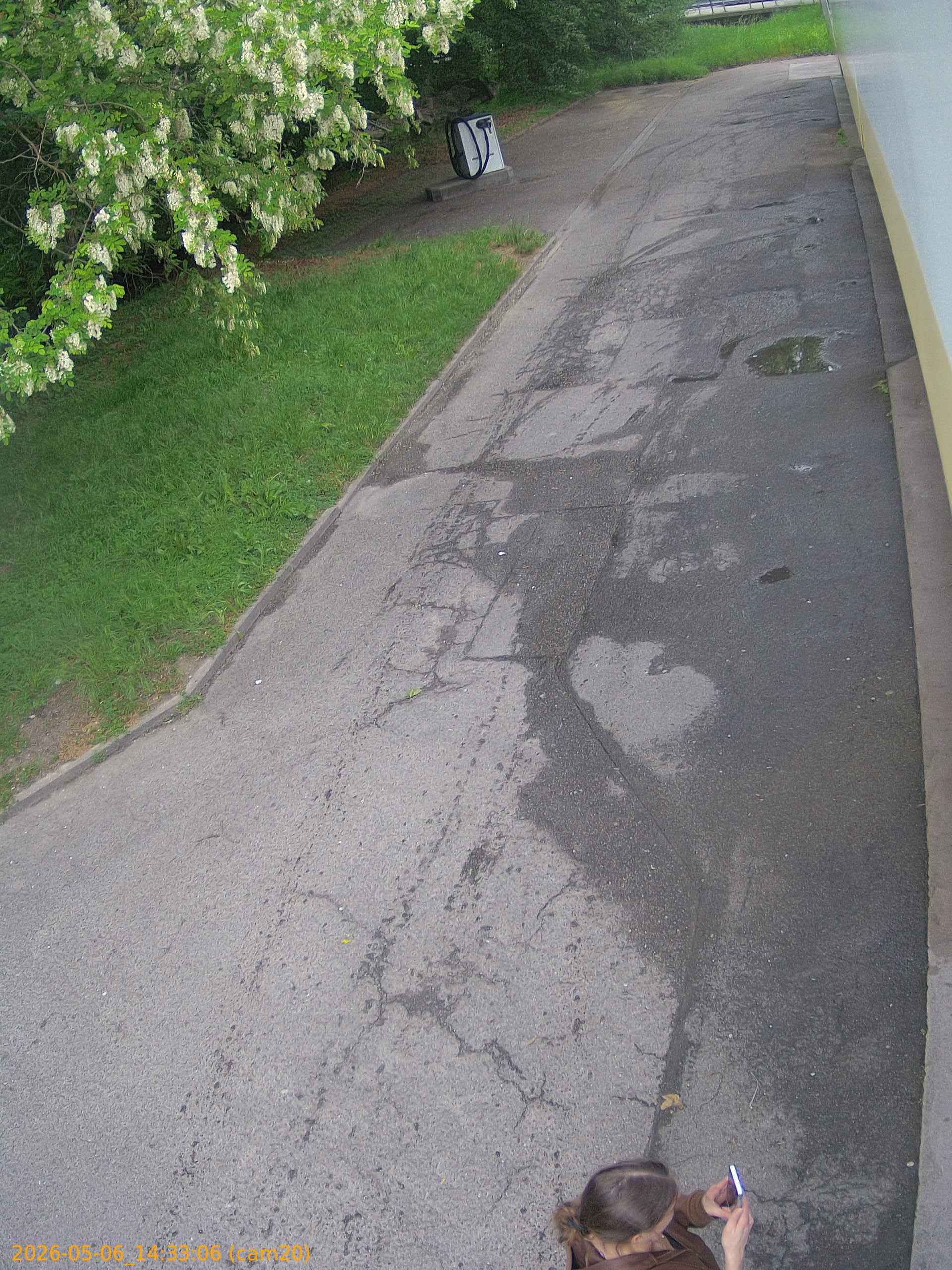 thumbnail_20260506143306