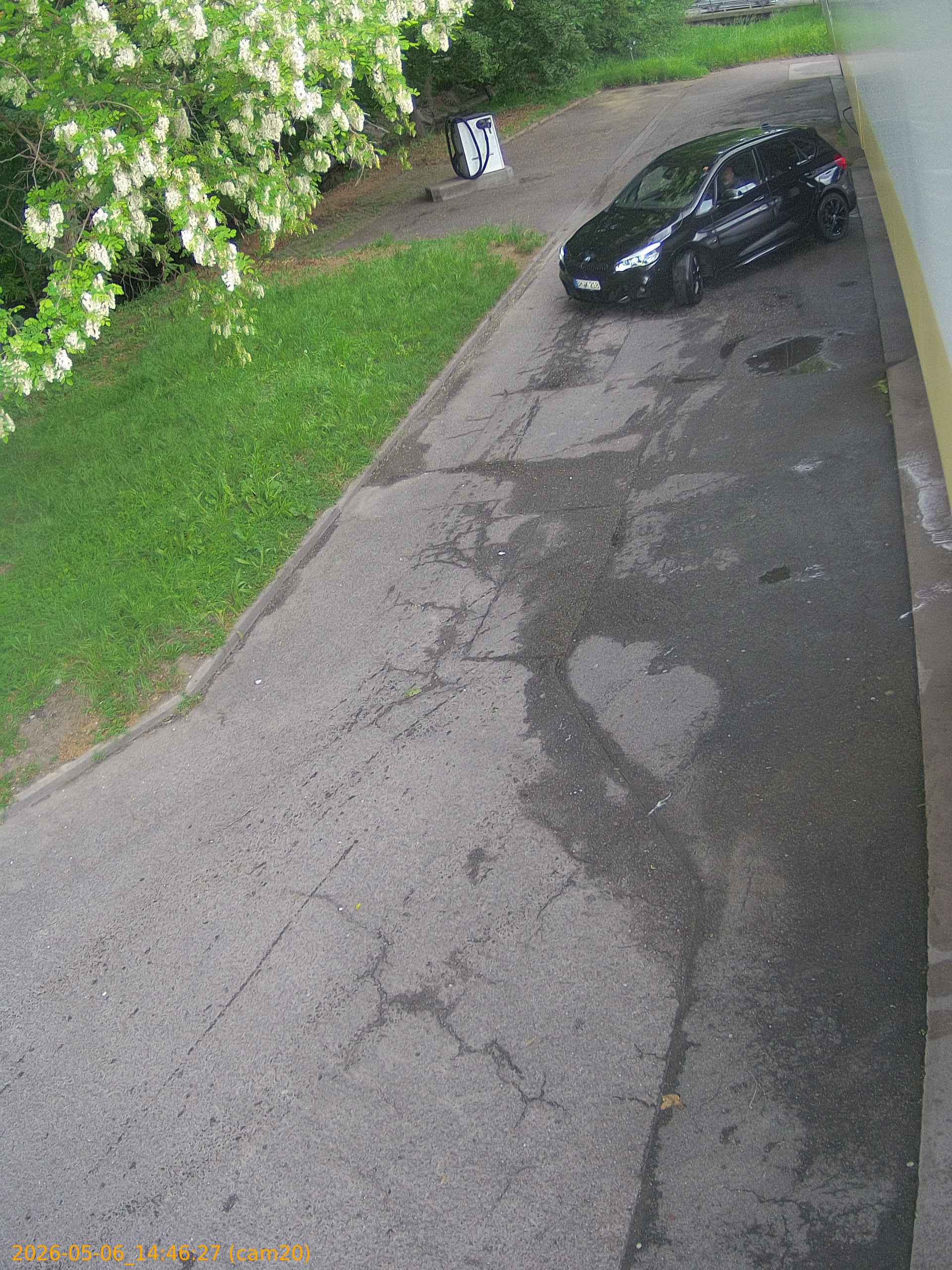 thumbnail_20260506144627