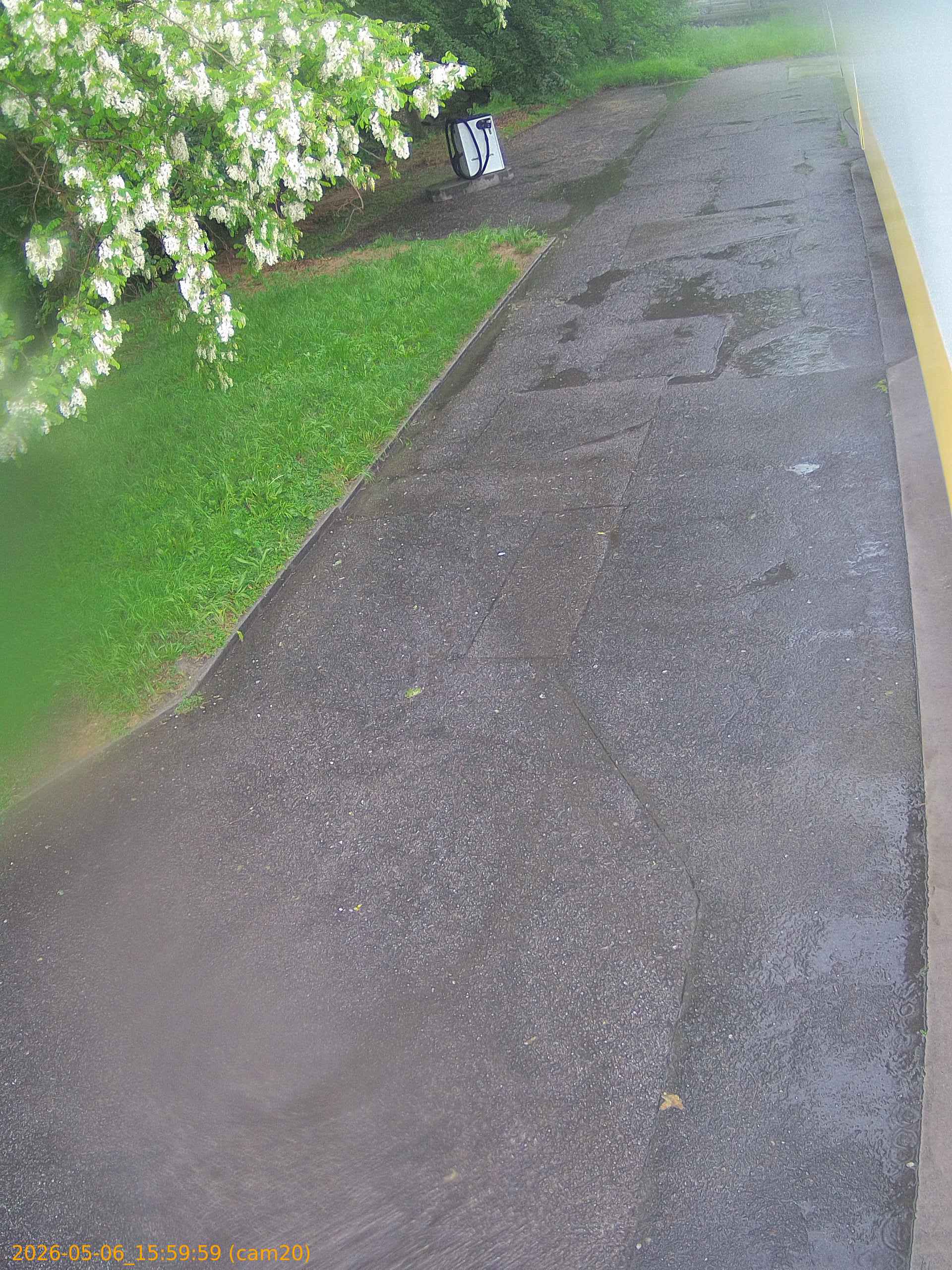202605061559