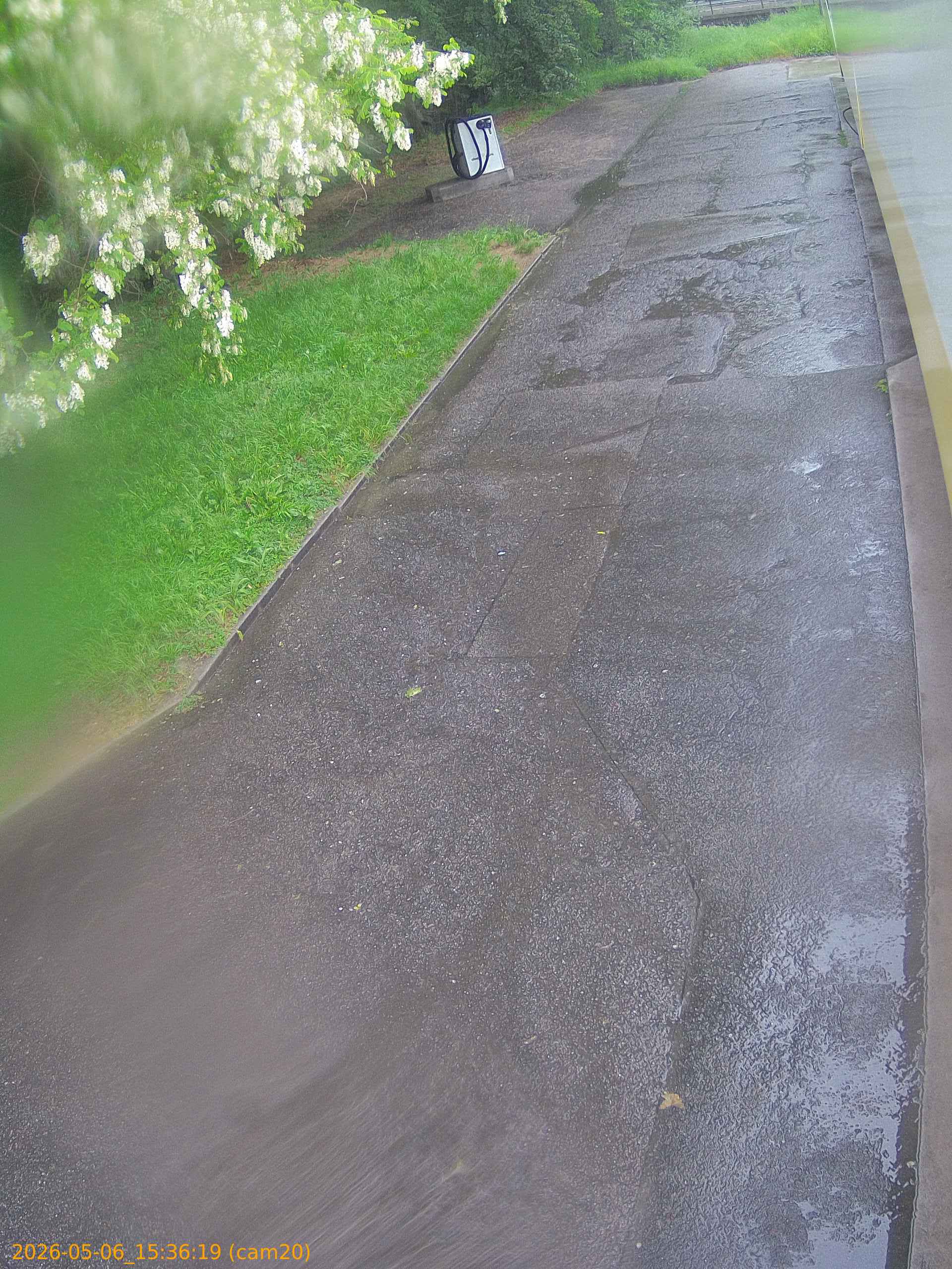thumbnail_20260506153619