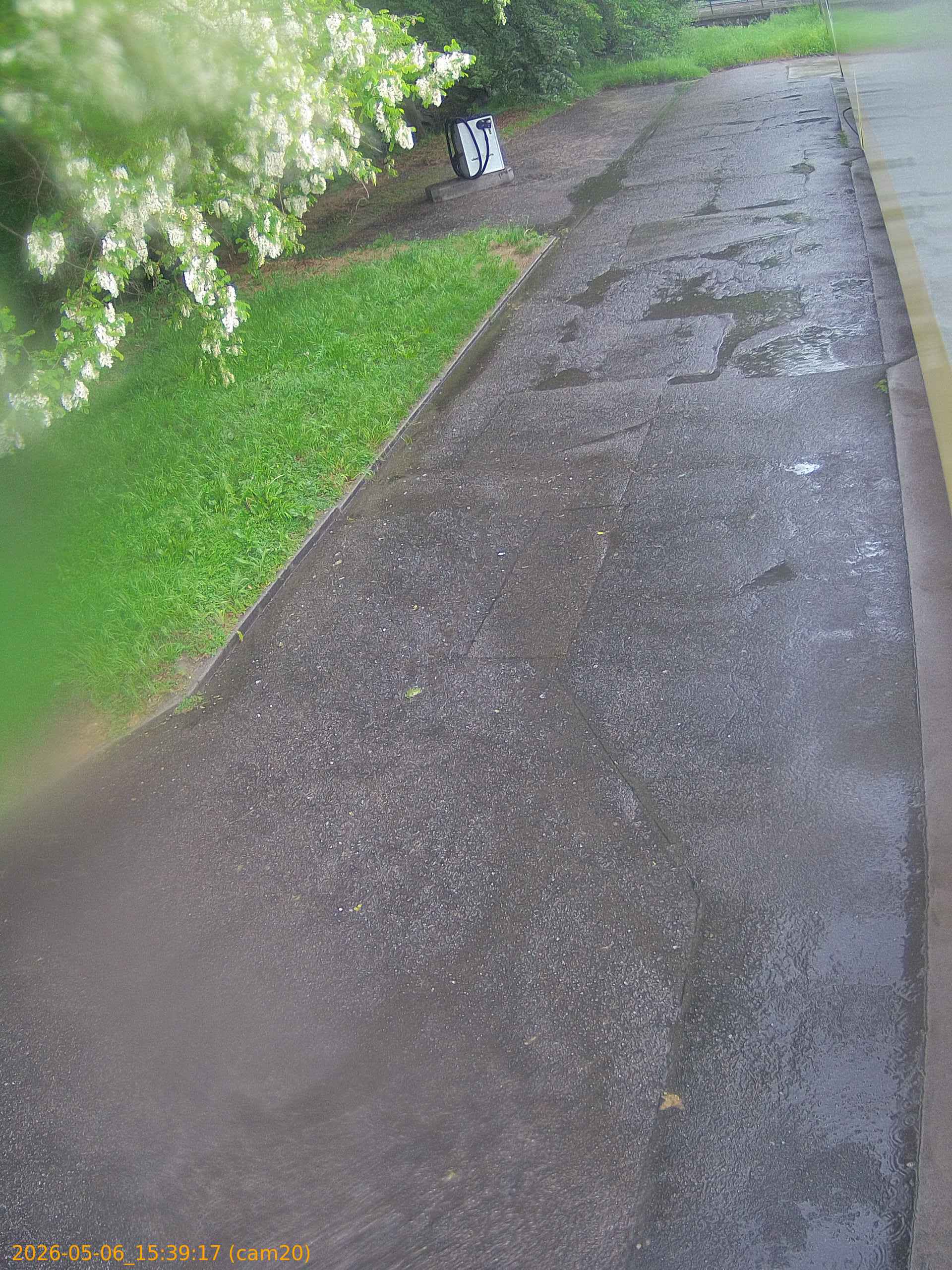 thumbnail_20260506153917