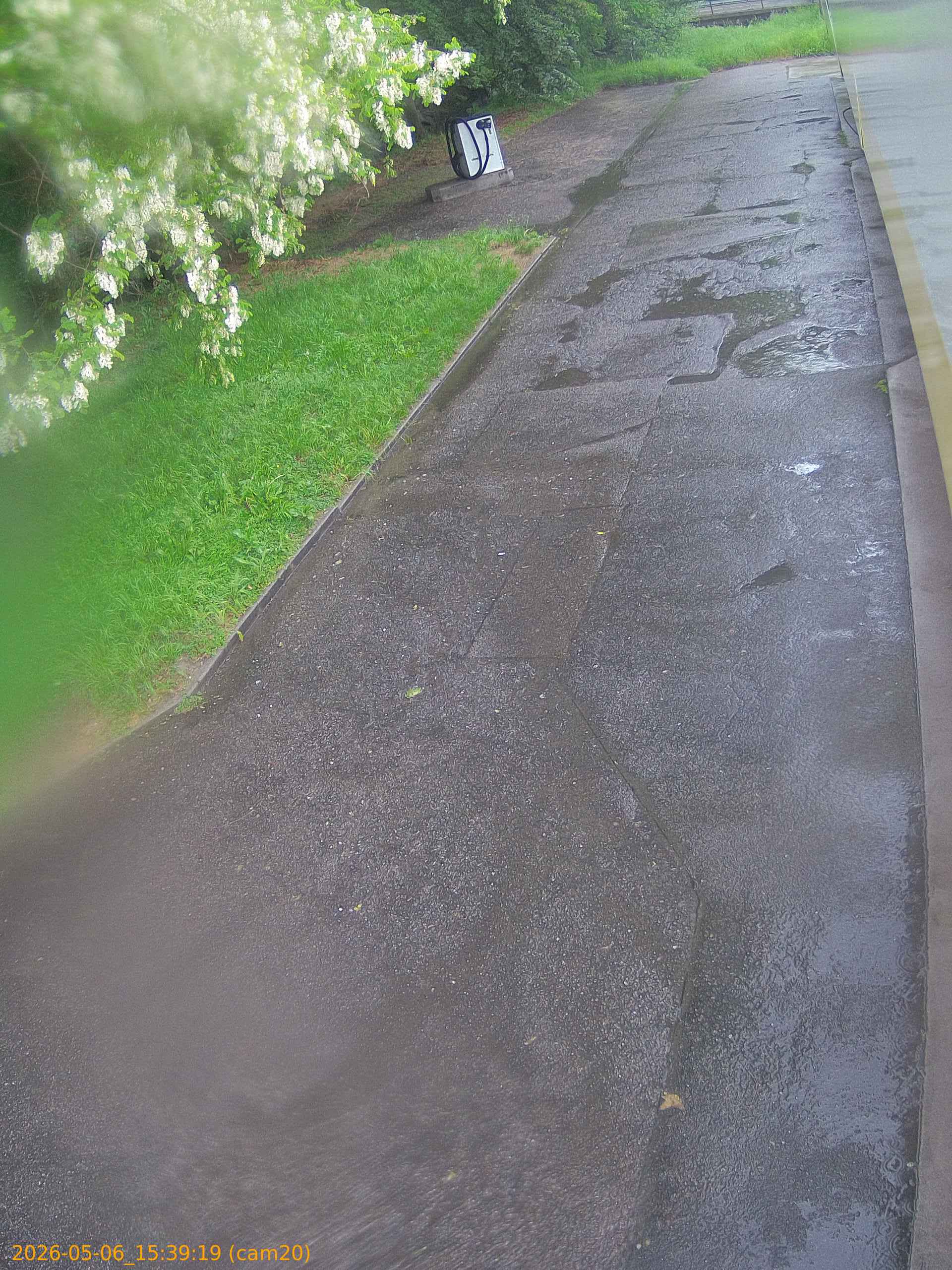 thumbnail_20260506153919