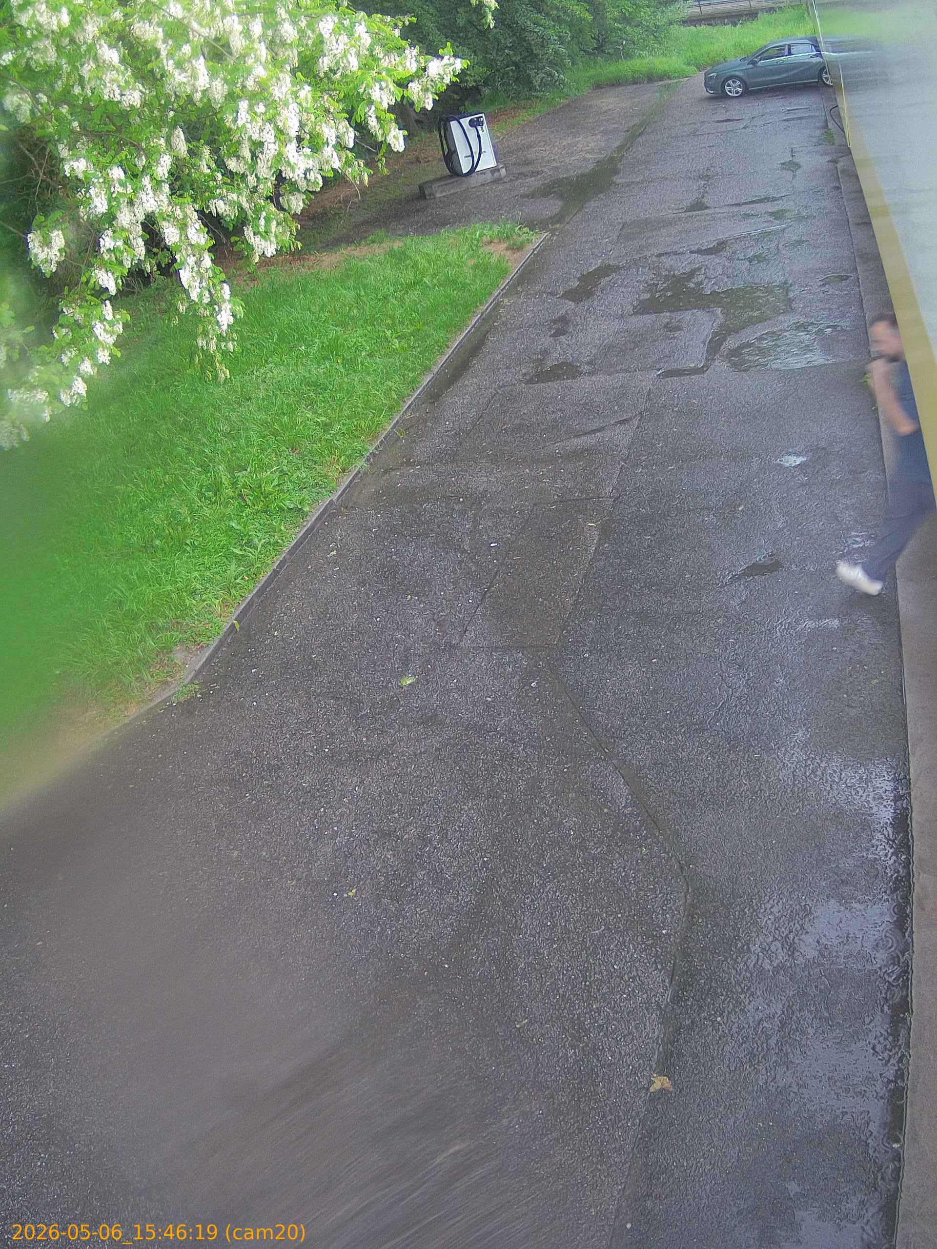 thumbnail_20260506154619
