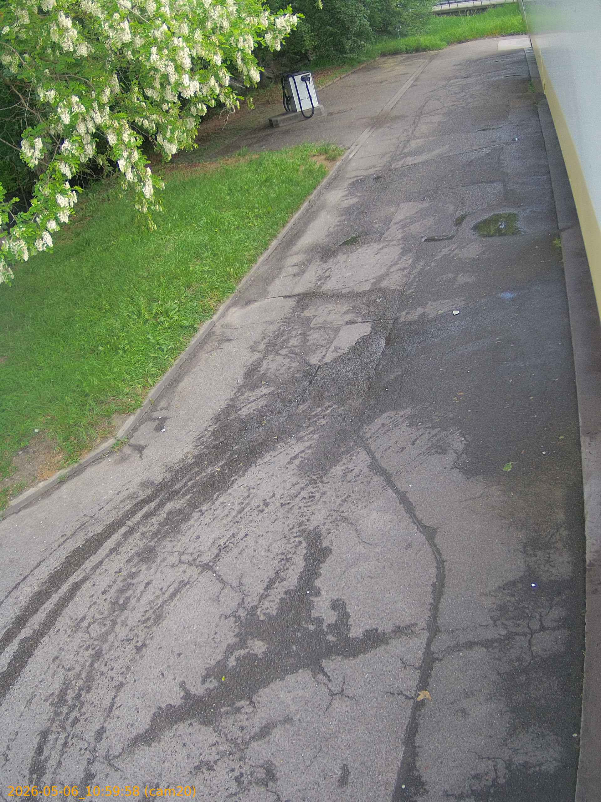 thumbnail_2026050610