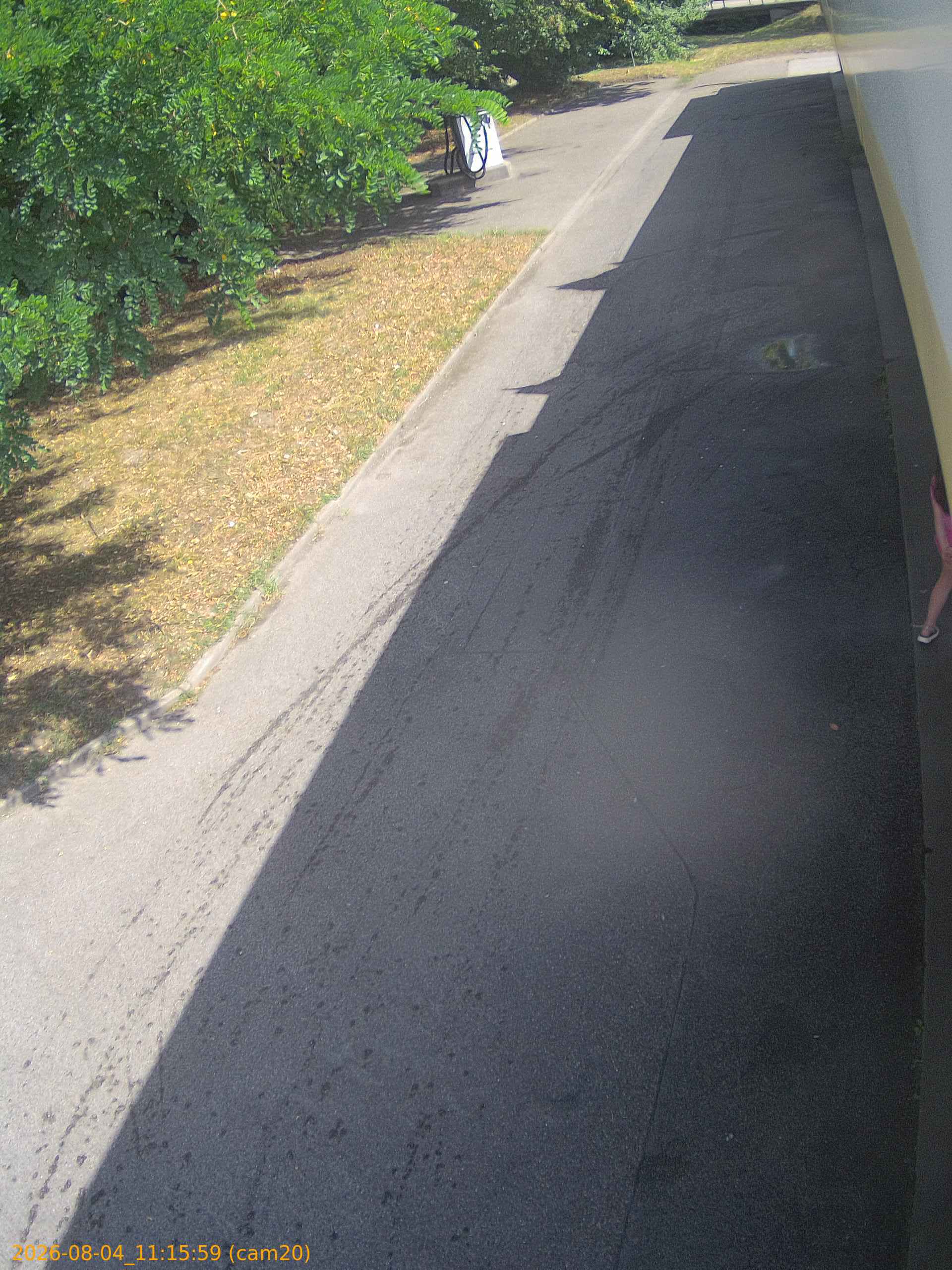 thumbnail_202608041115