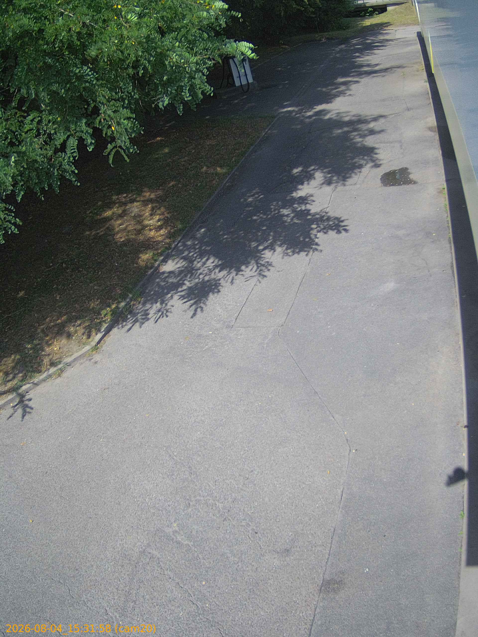 thumbnail_202608041531