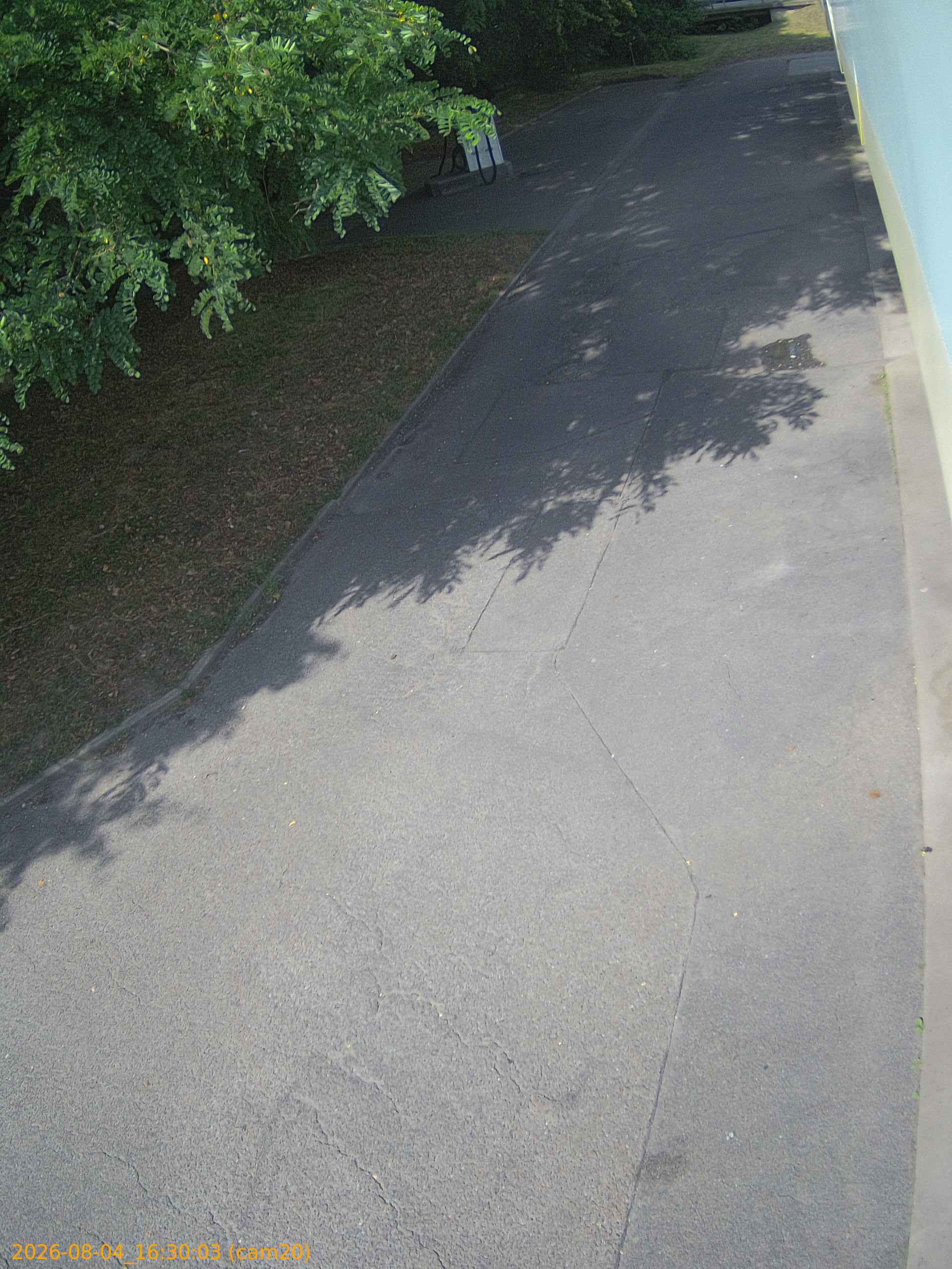 thumbnail_20260804163003