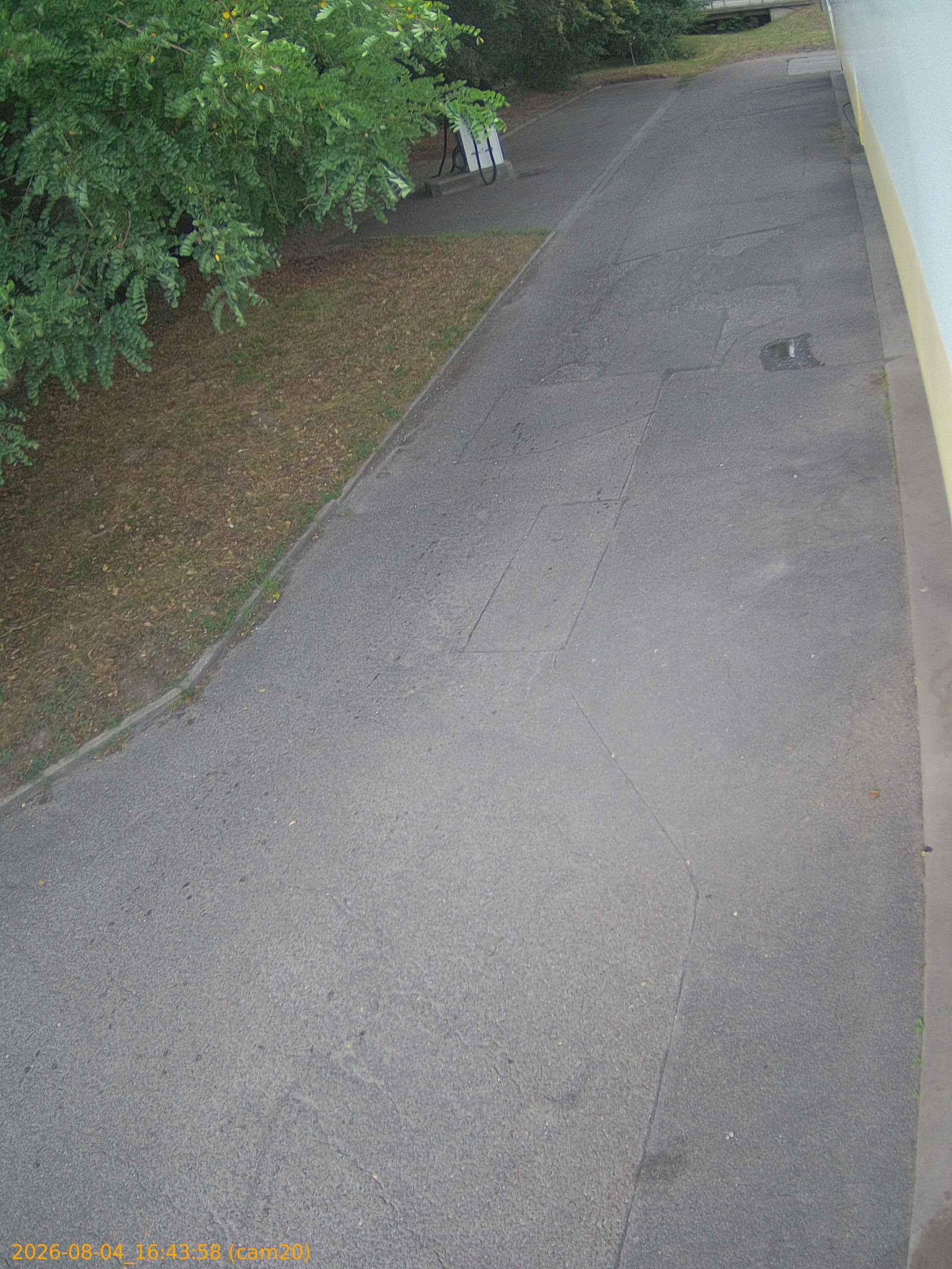 thumbnail_202608041643