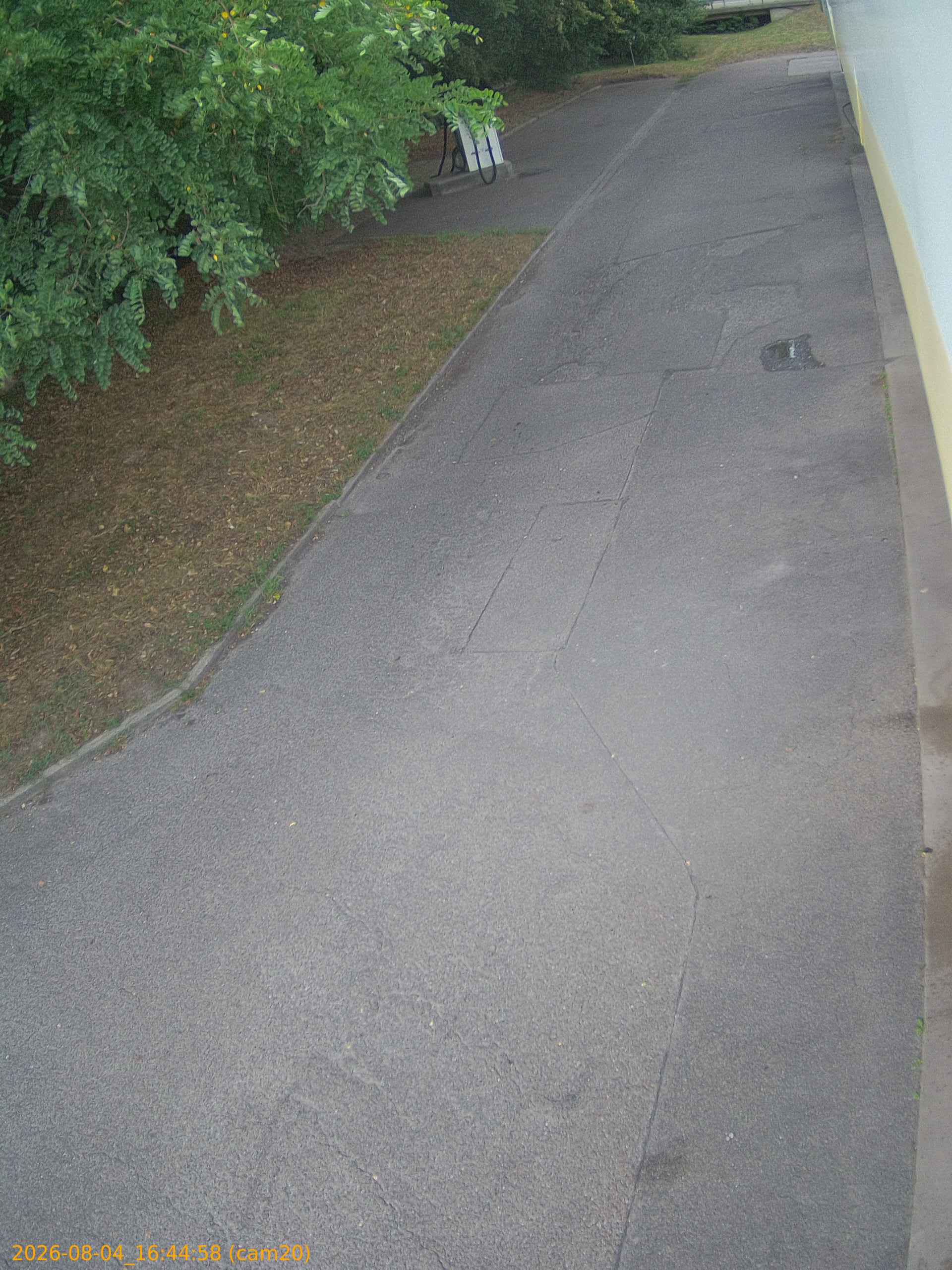 thumbnail_202608041644