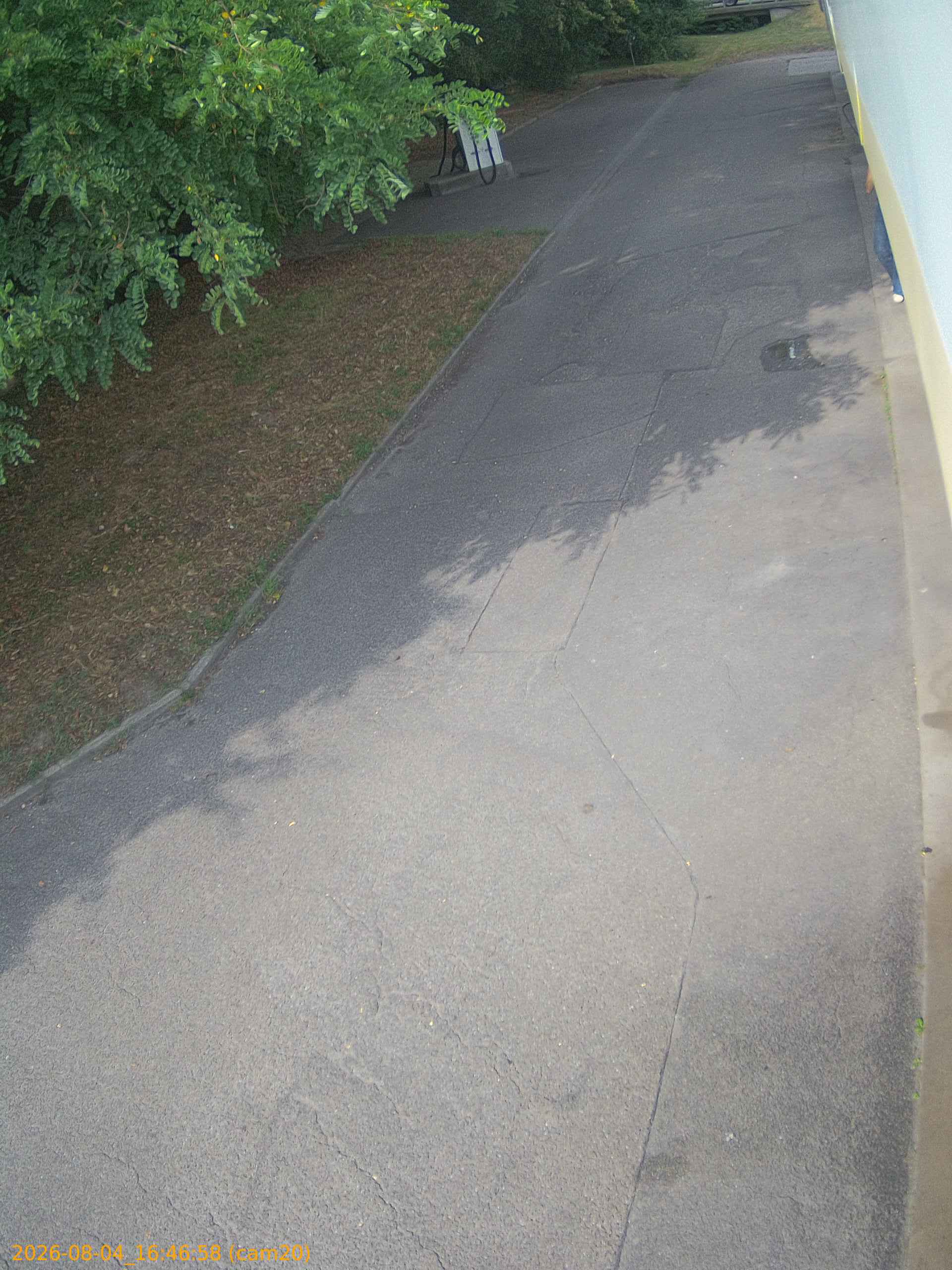 thumbnail_202608041646