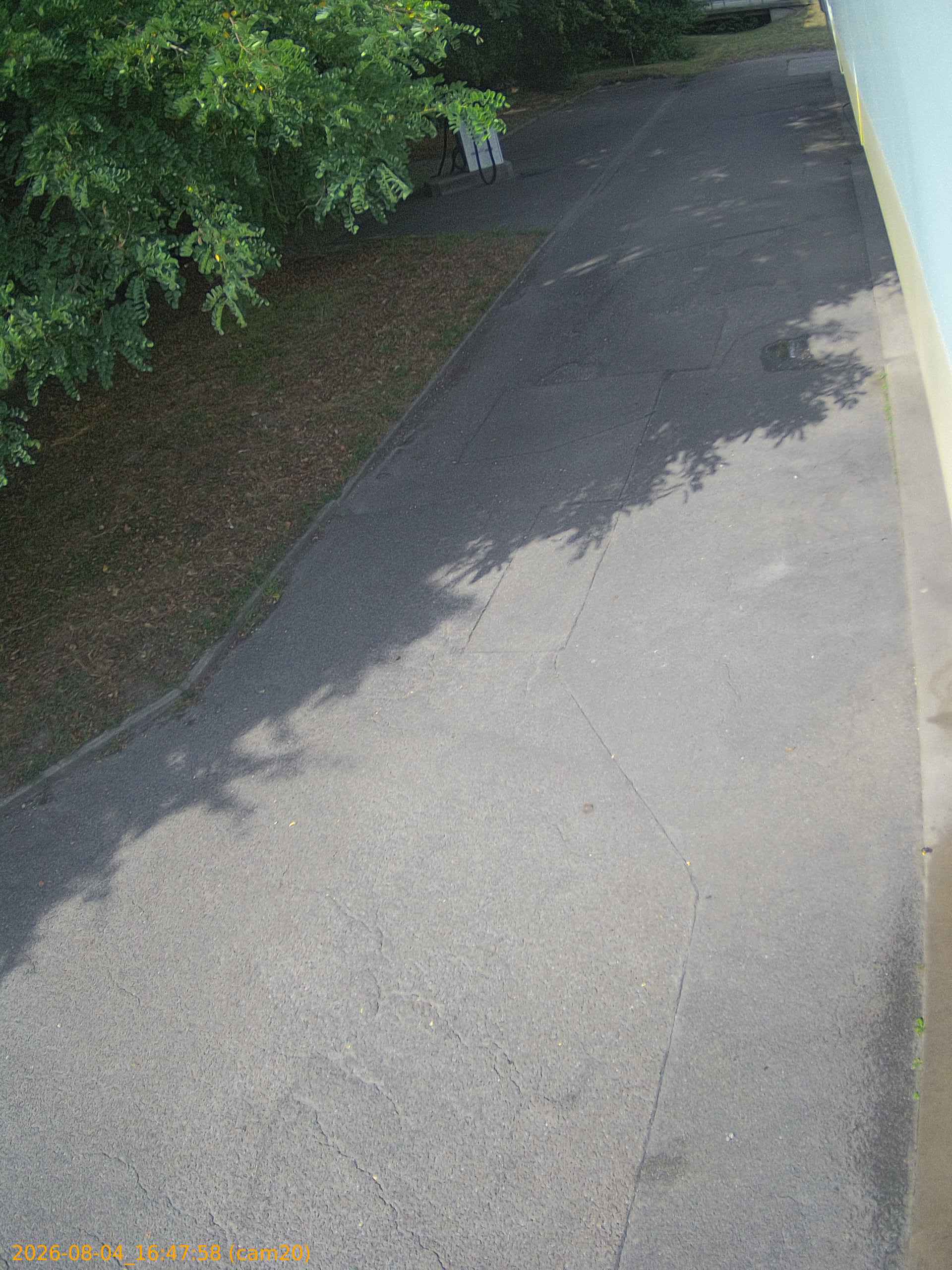 thumbnail_202608041647