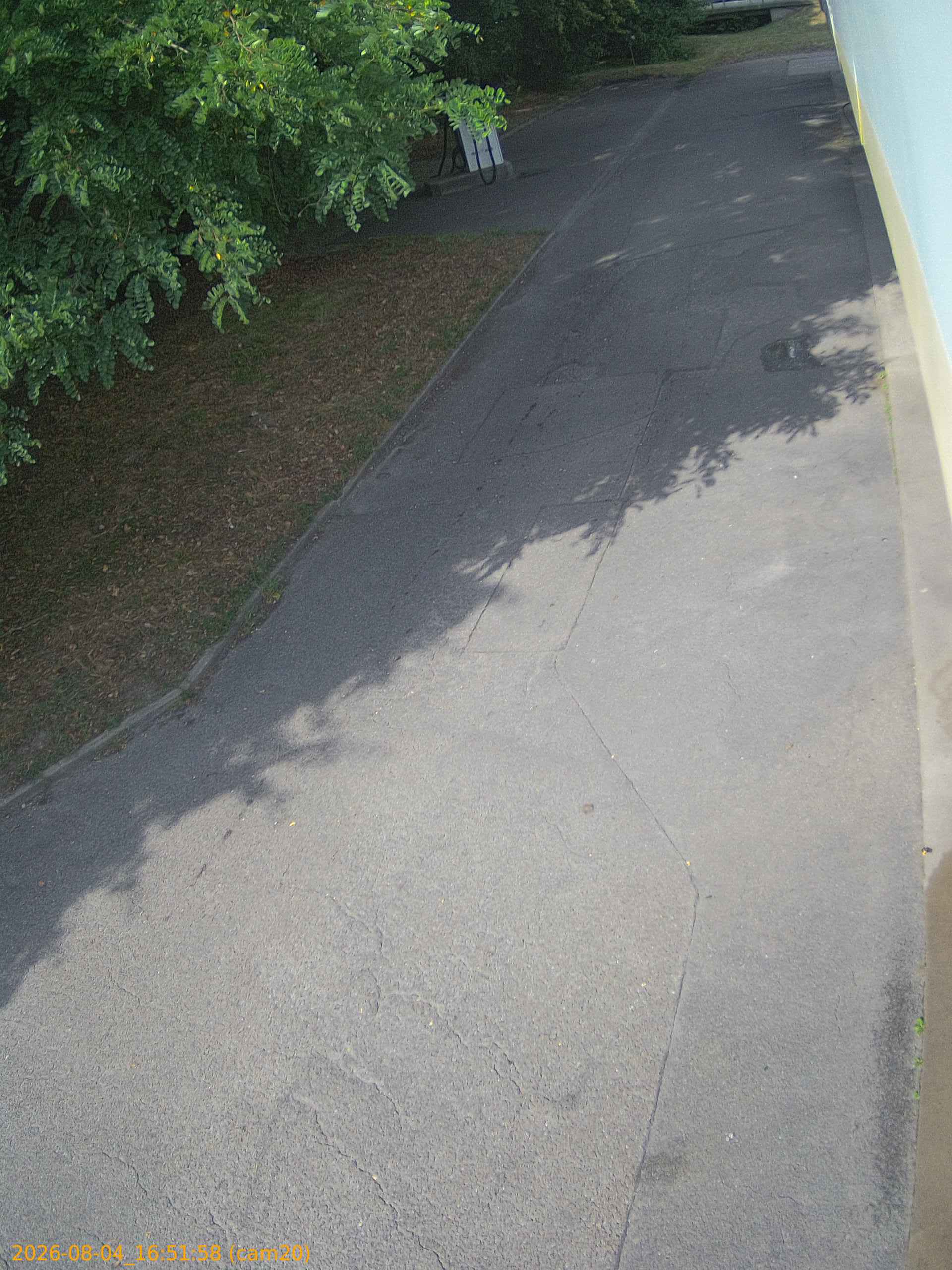 thumbnail_202608041651