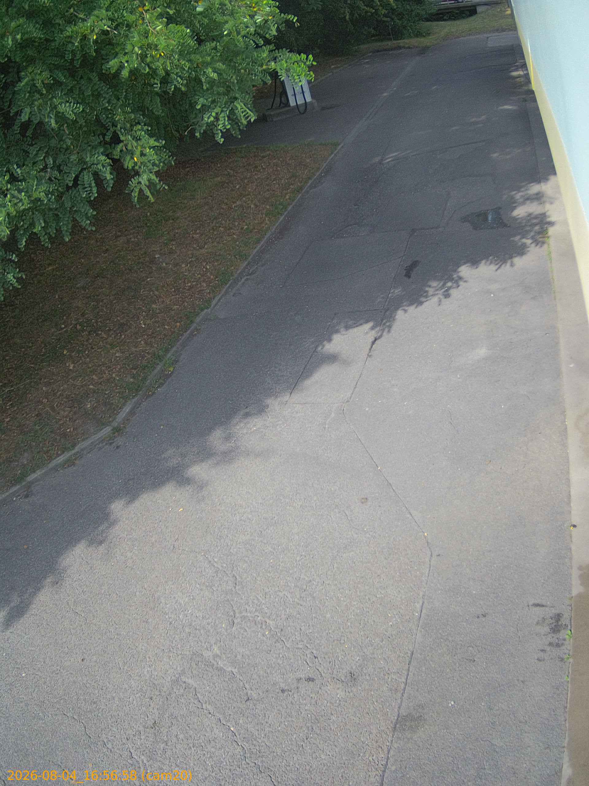 thumbnail_202608041656