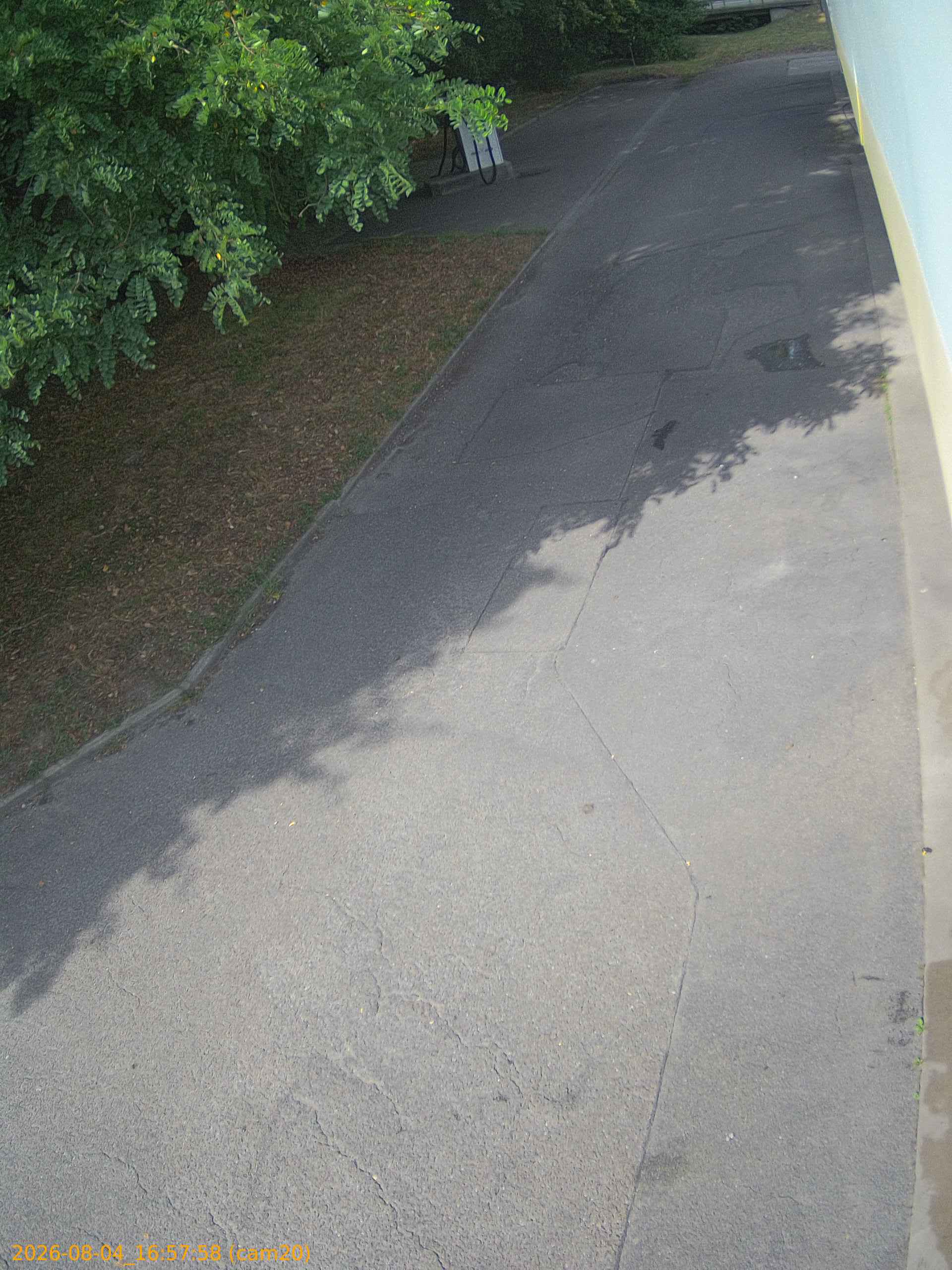 thumbnail_202608041657