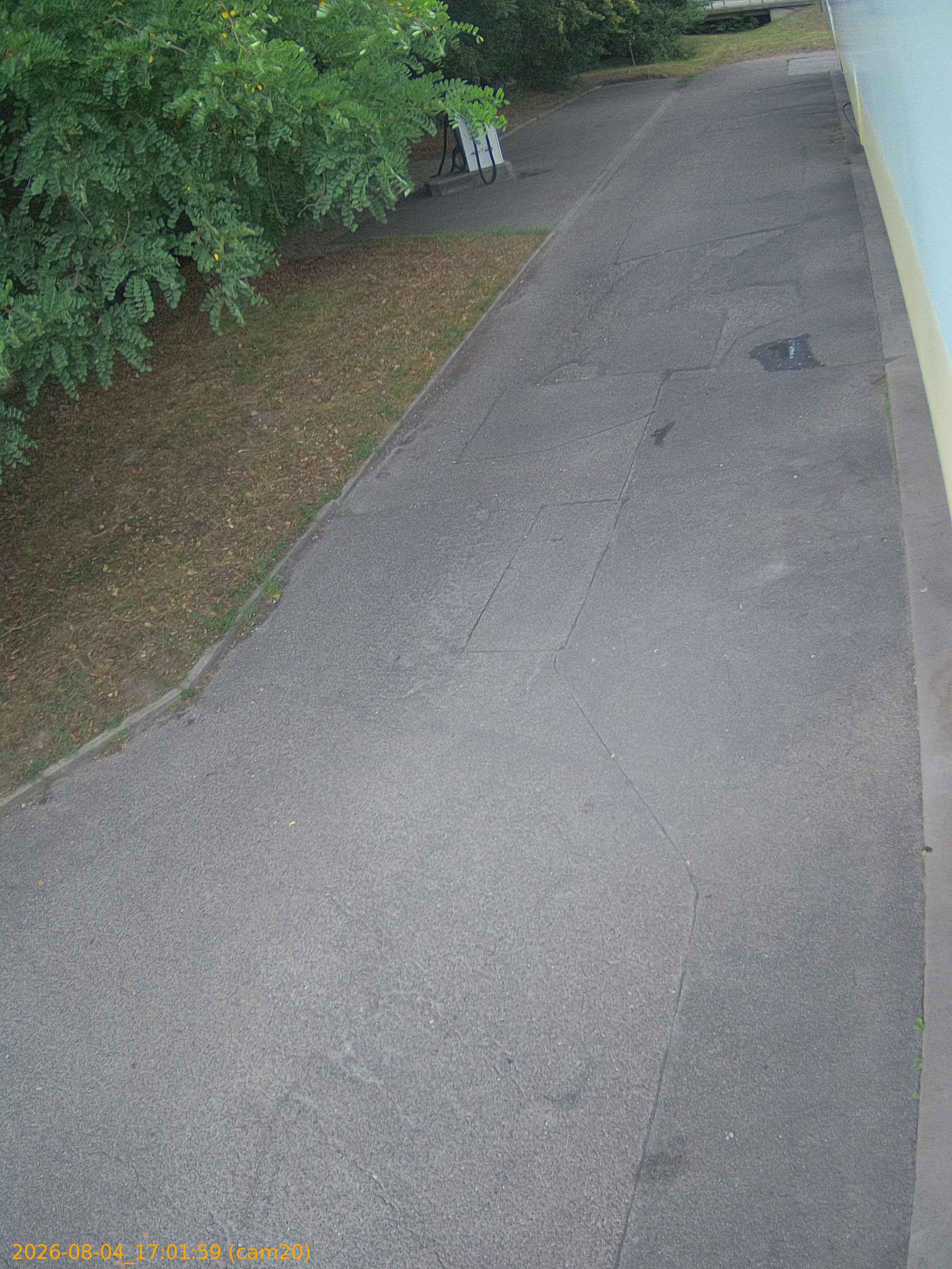 thumbnail_202608041701