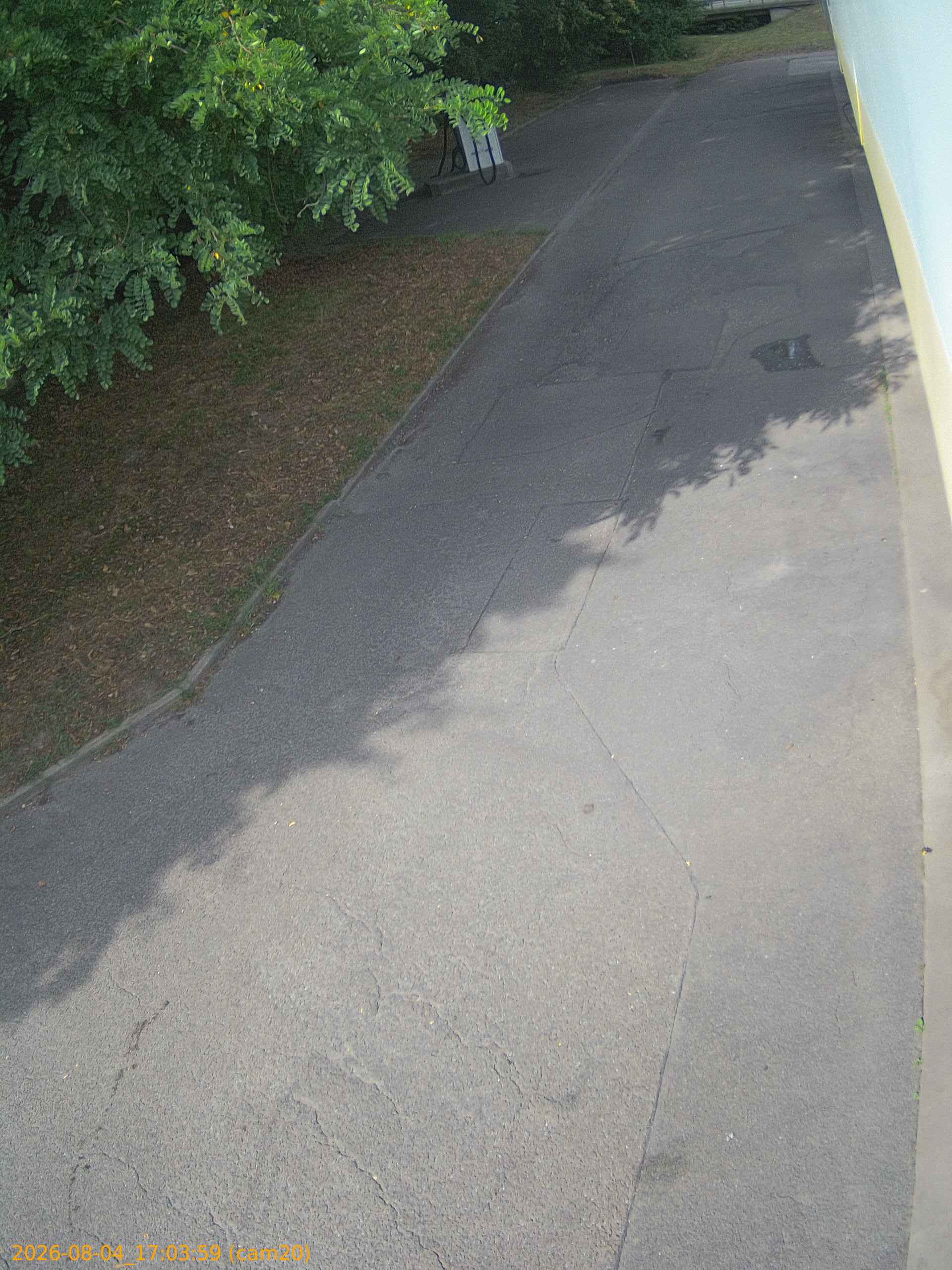 thumbnail_202608041703