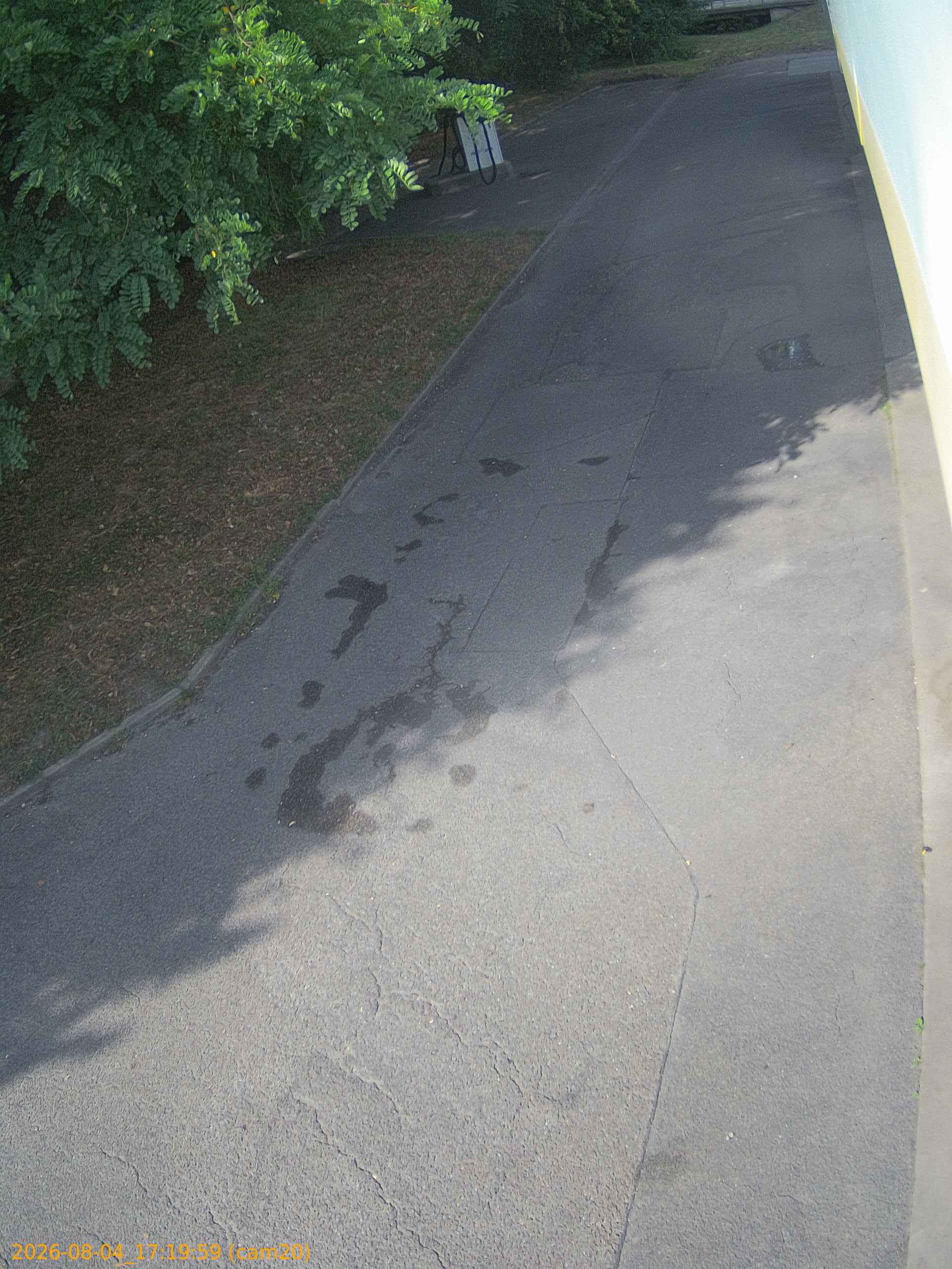 thumbnail_202608041719