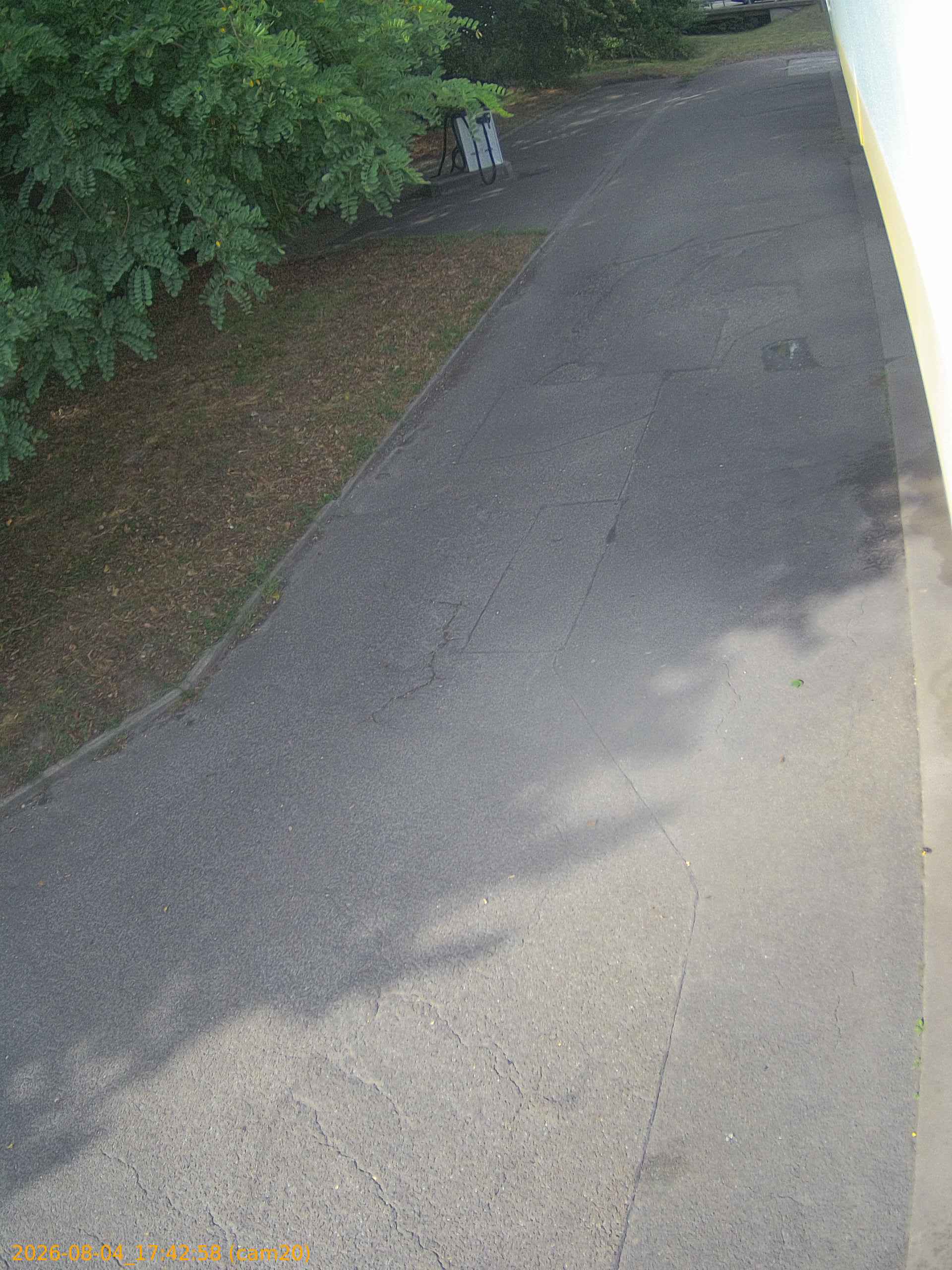 thumbnail_202608041742