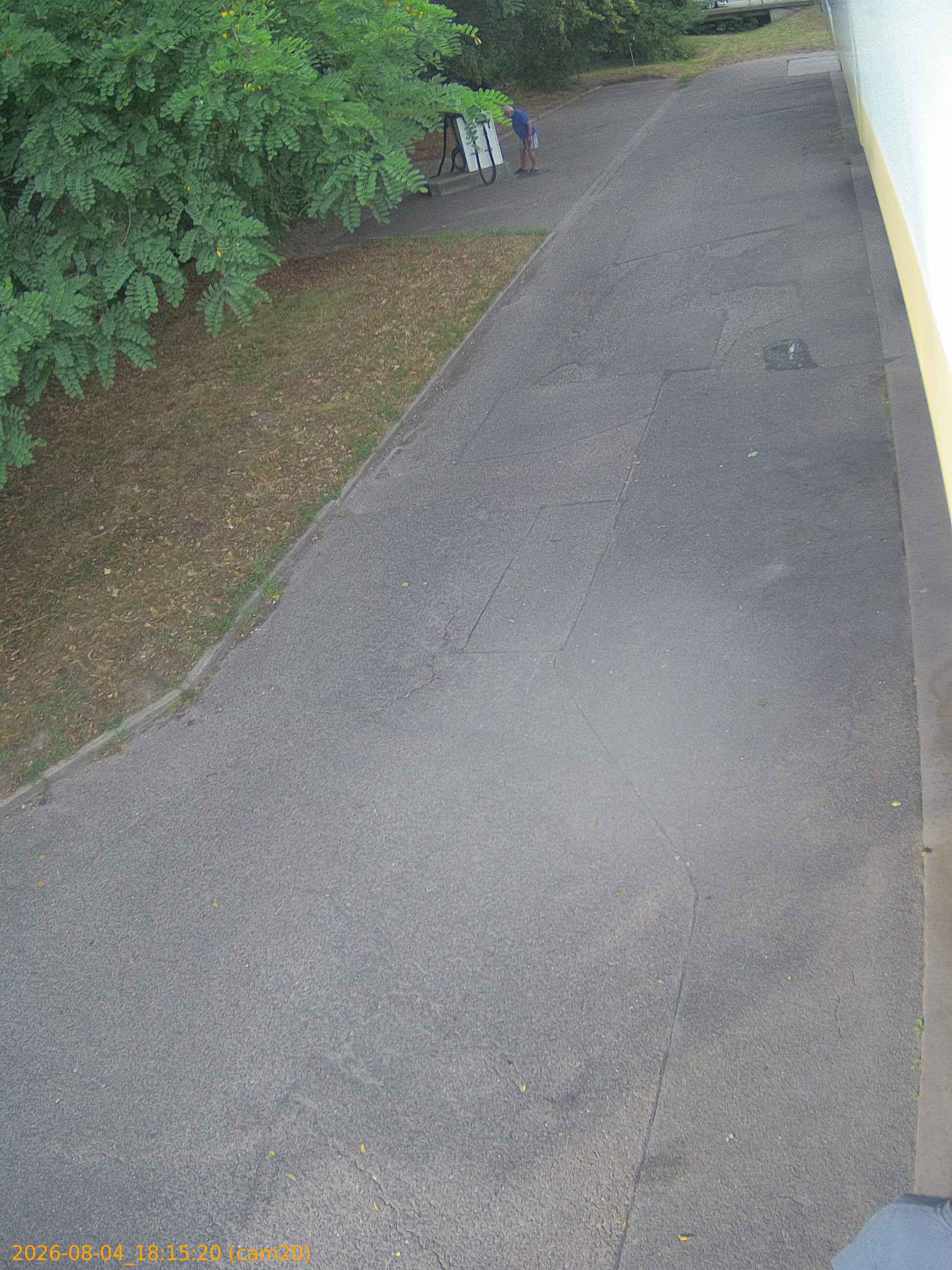 thumbnail_20260804181520