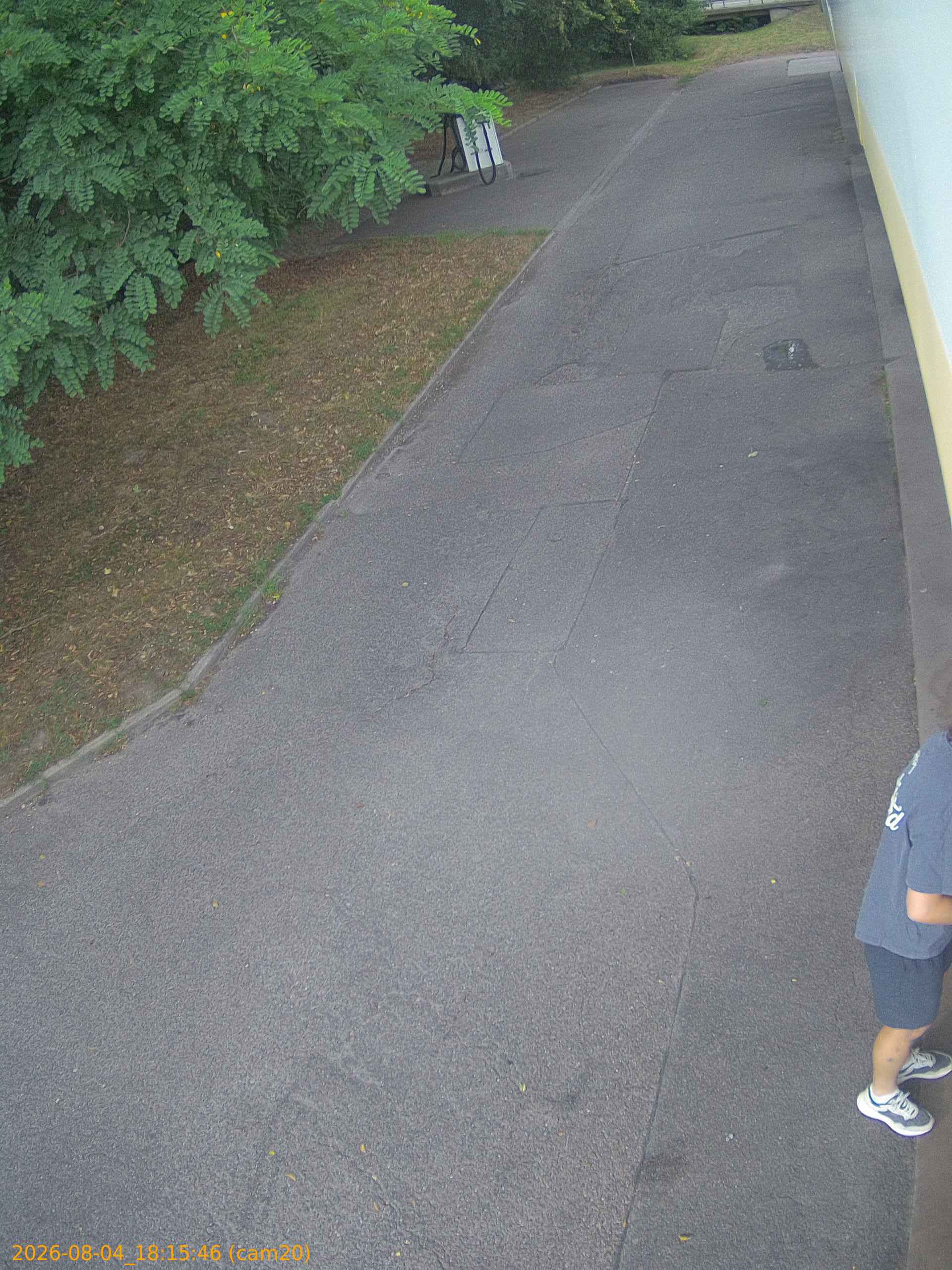 thumbnail_20260804181546