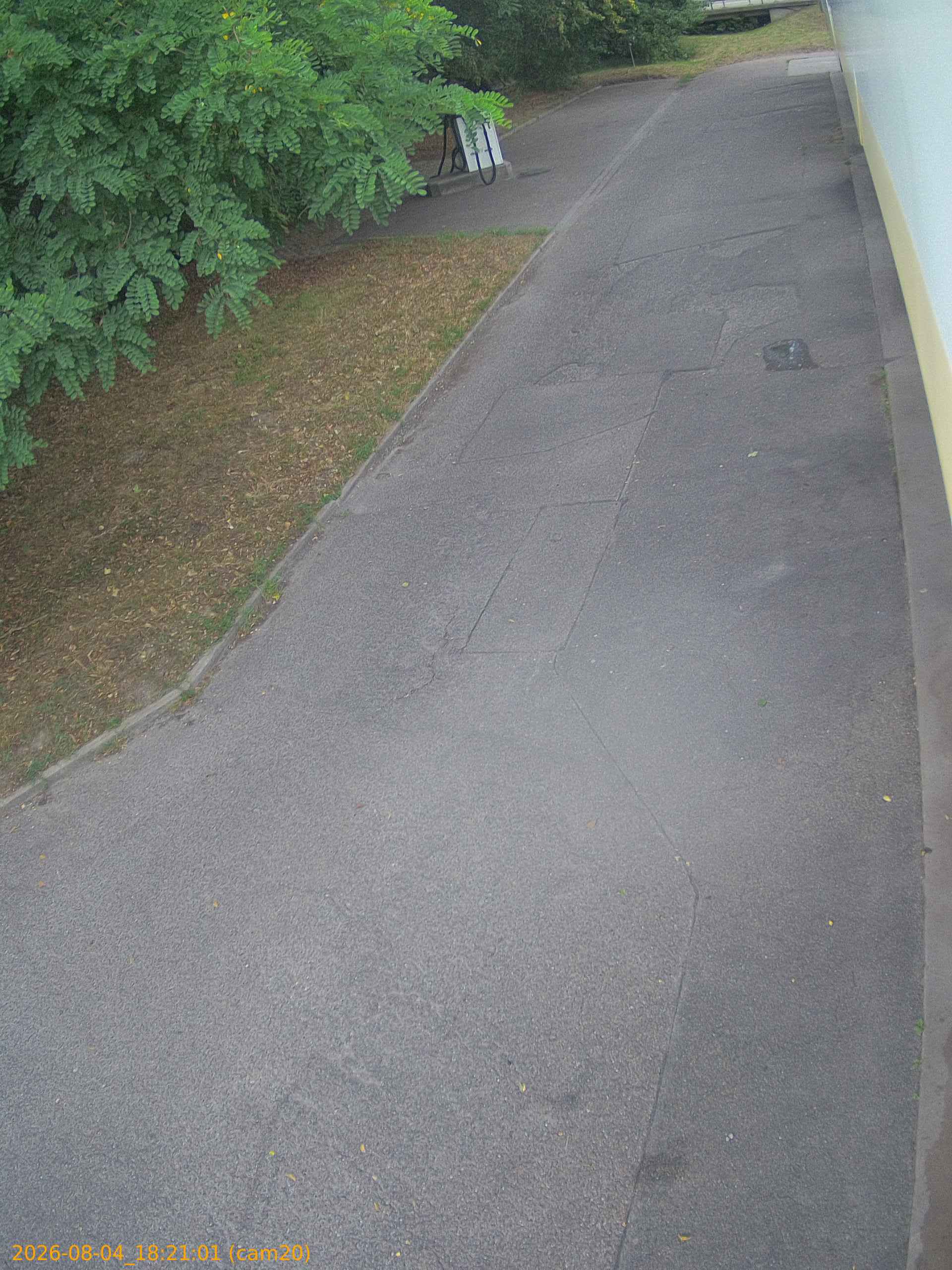 thumbnail_20260804182101