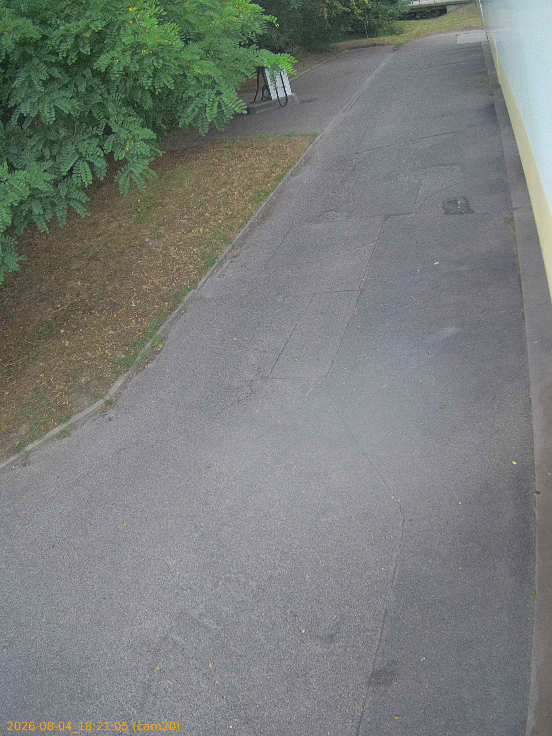 thumbnail_20260804182105