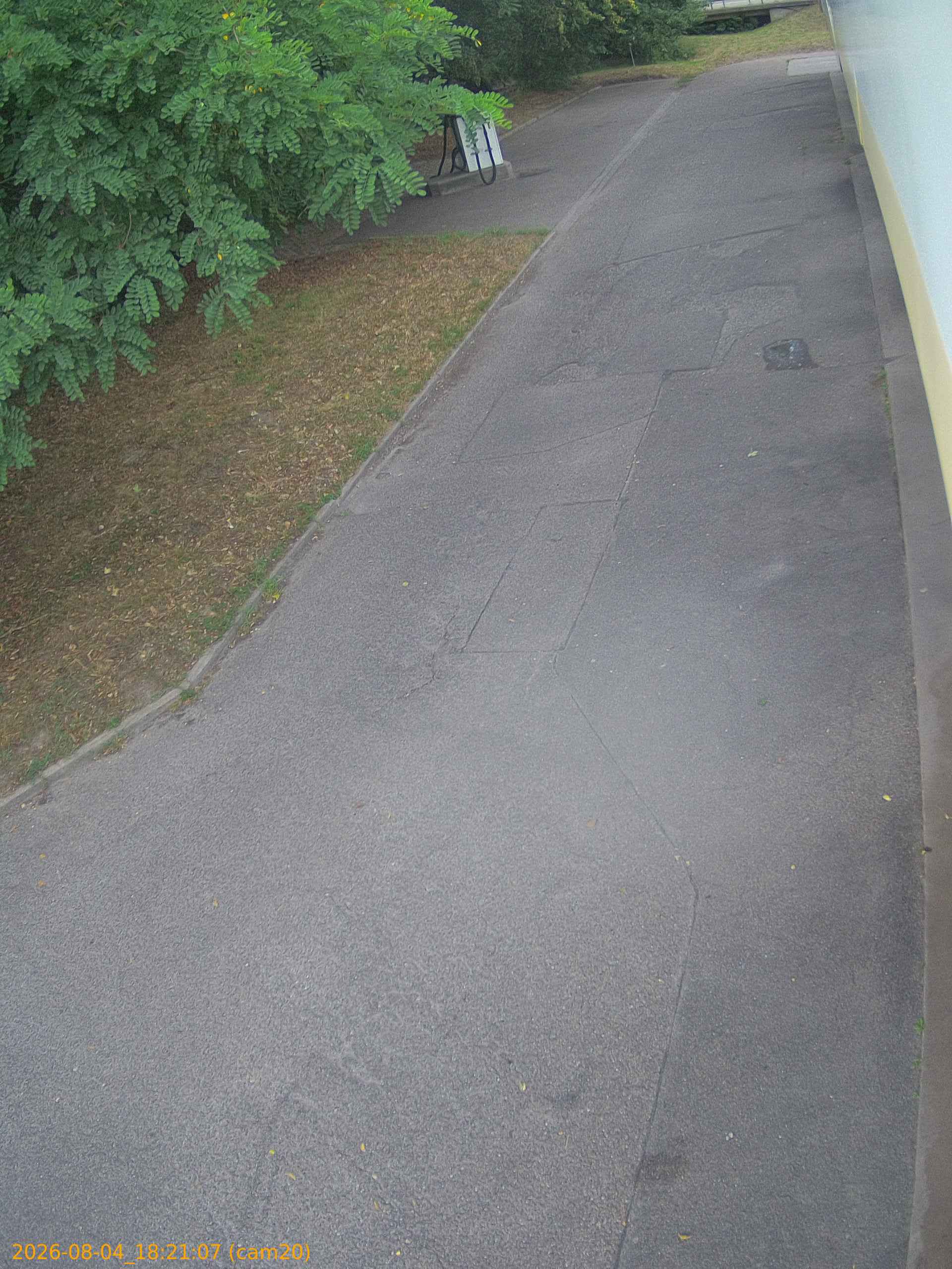thumbnail_20260804182107