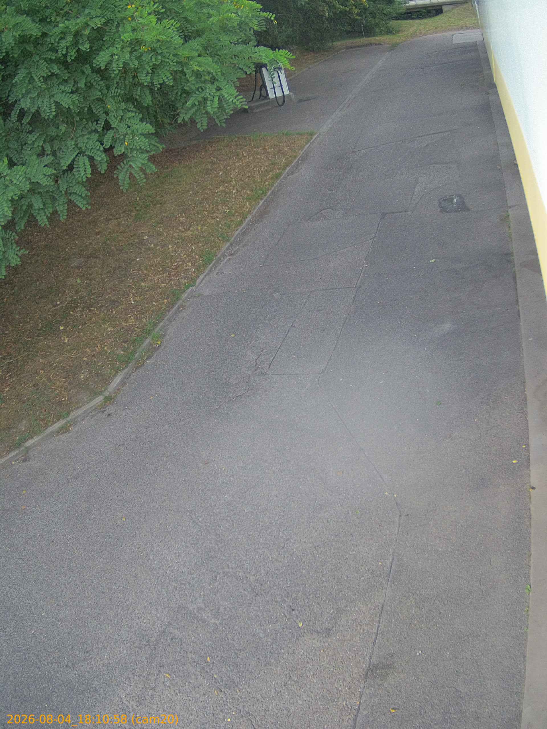 thumbnail_202608041810