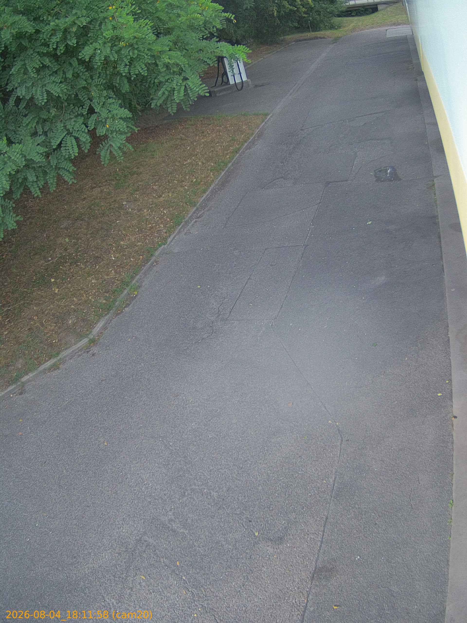 thumbnail_202608041811