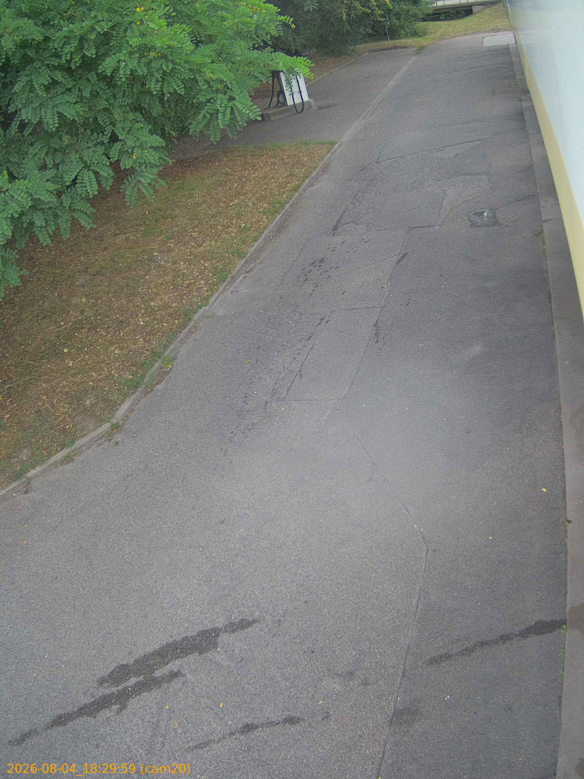 thumbnail_202608041829