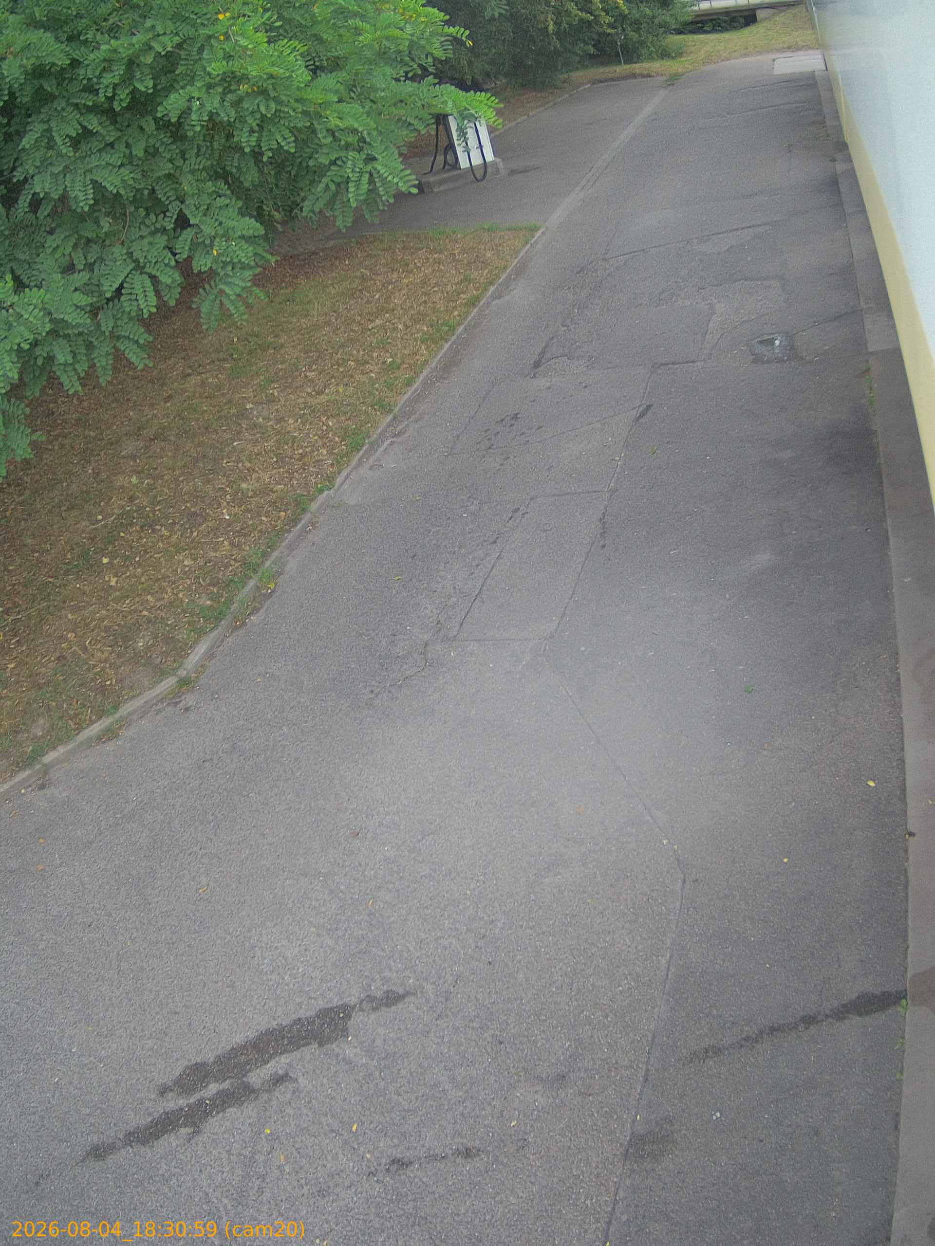 thumbnail_202608041830