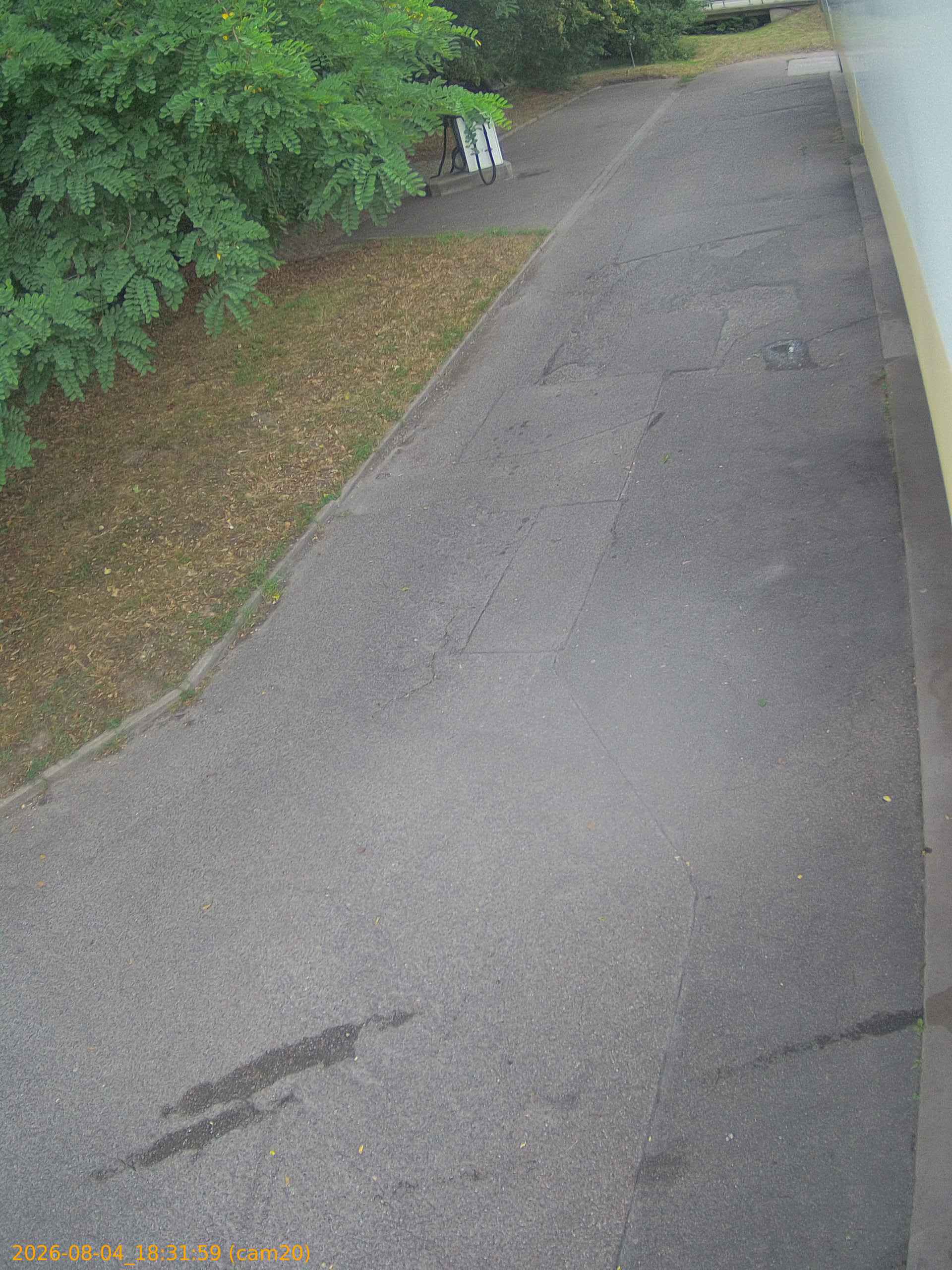 thumbnail_202608041831