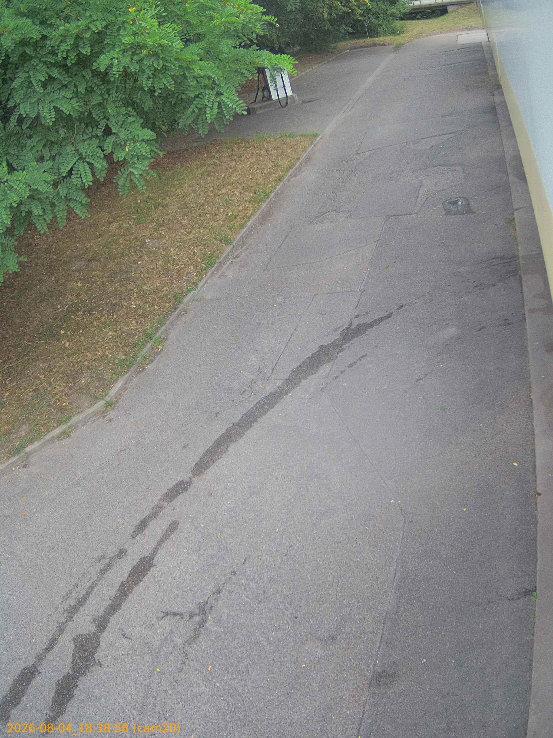 thumbnail_202608041838