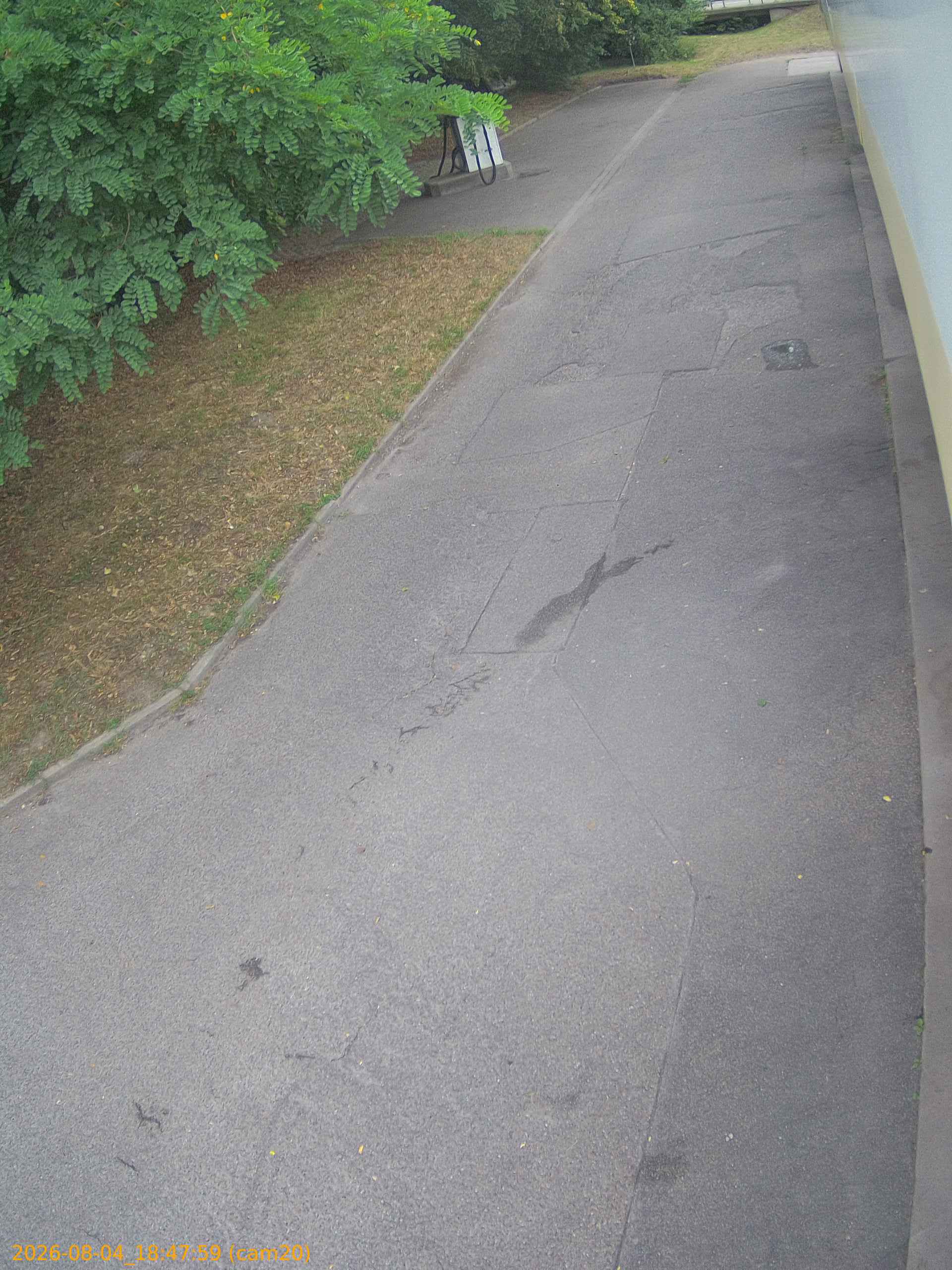 thumbnail_202608041847