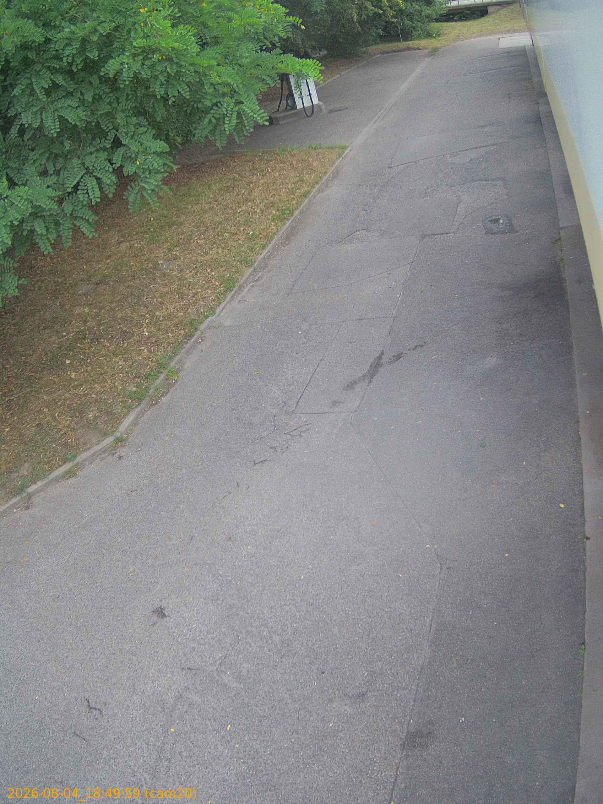 thumbnail_202608041849
