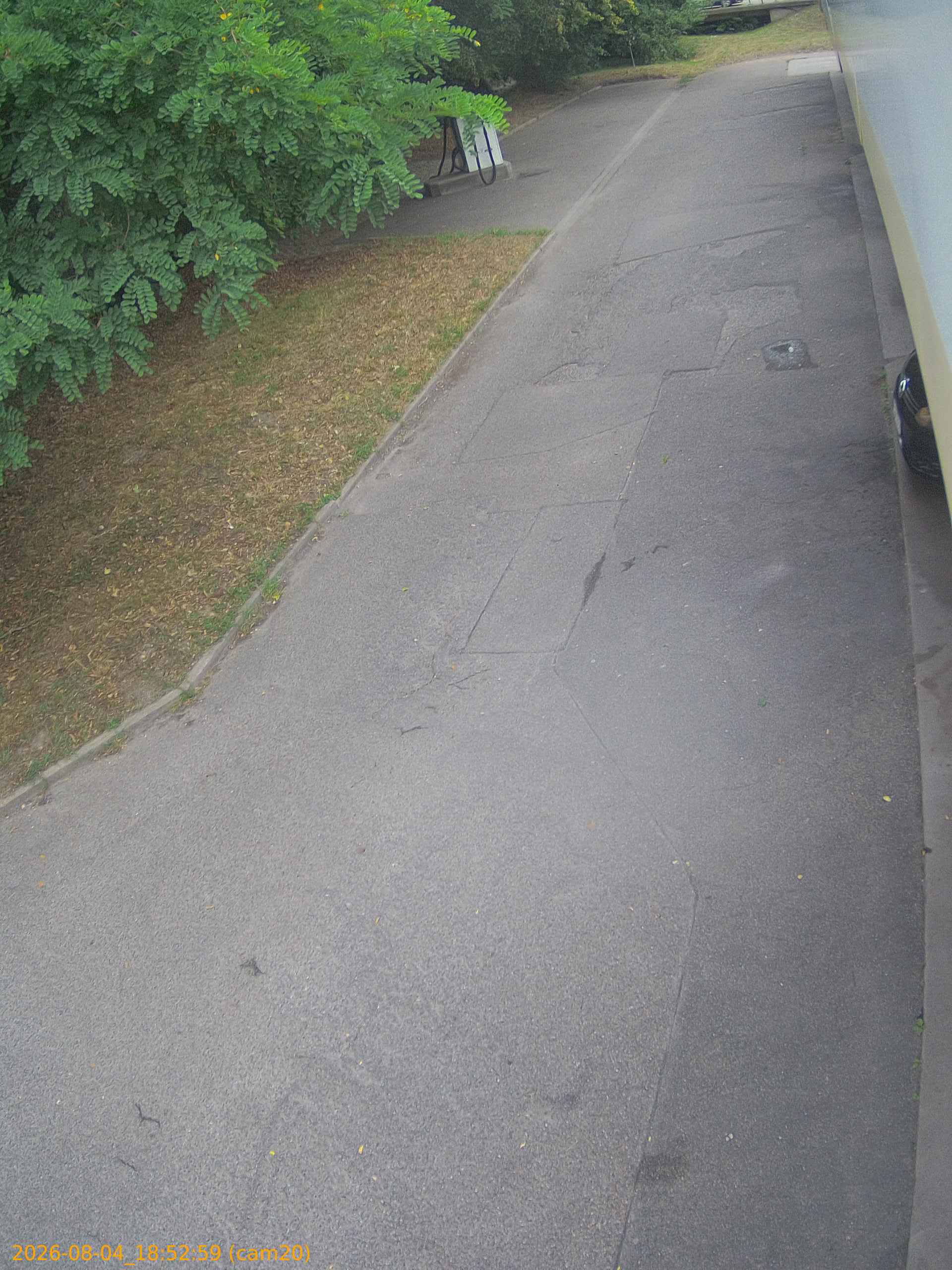 thumbnail_202608041852