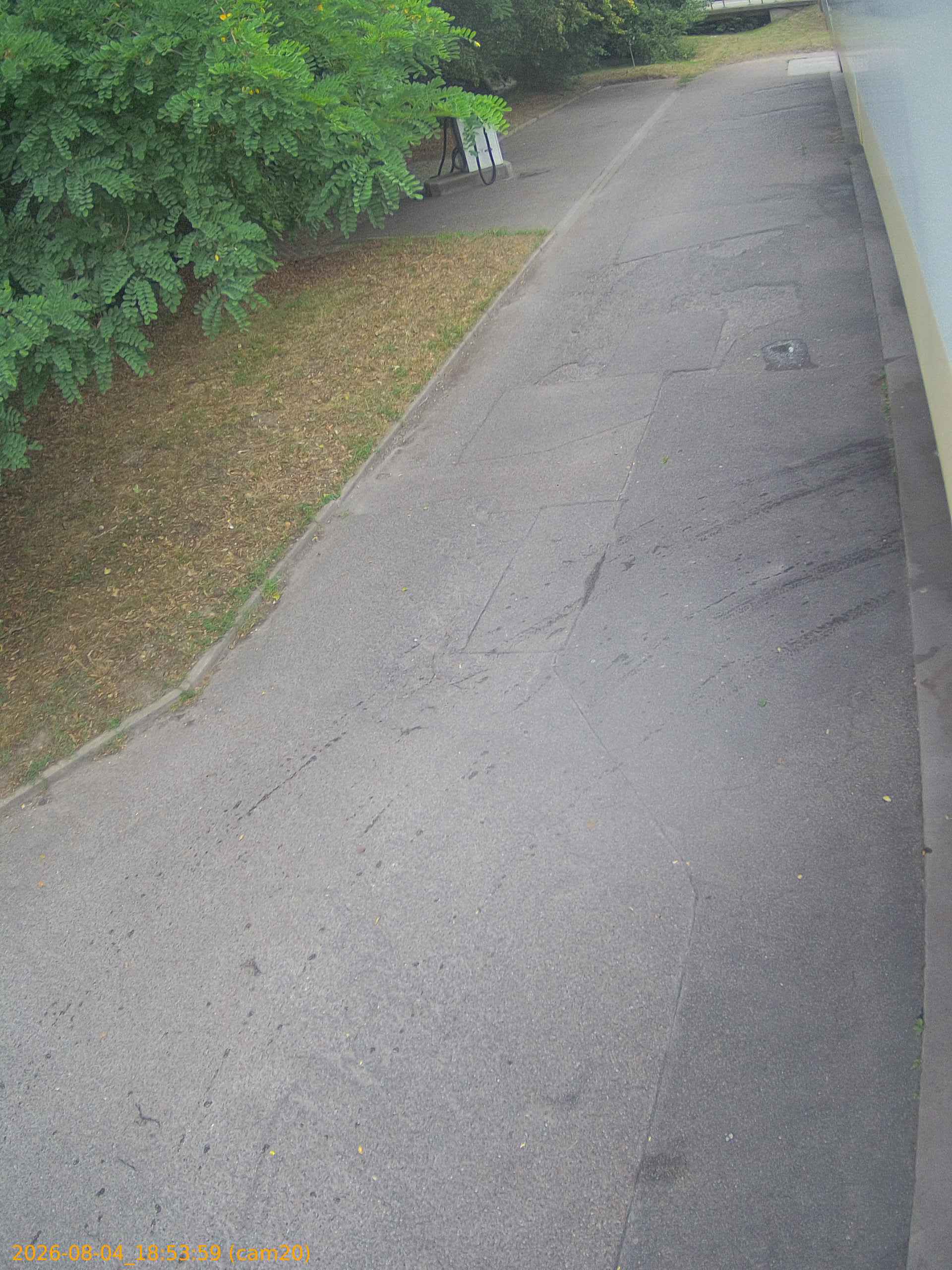 thumbnail_202608041853