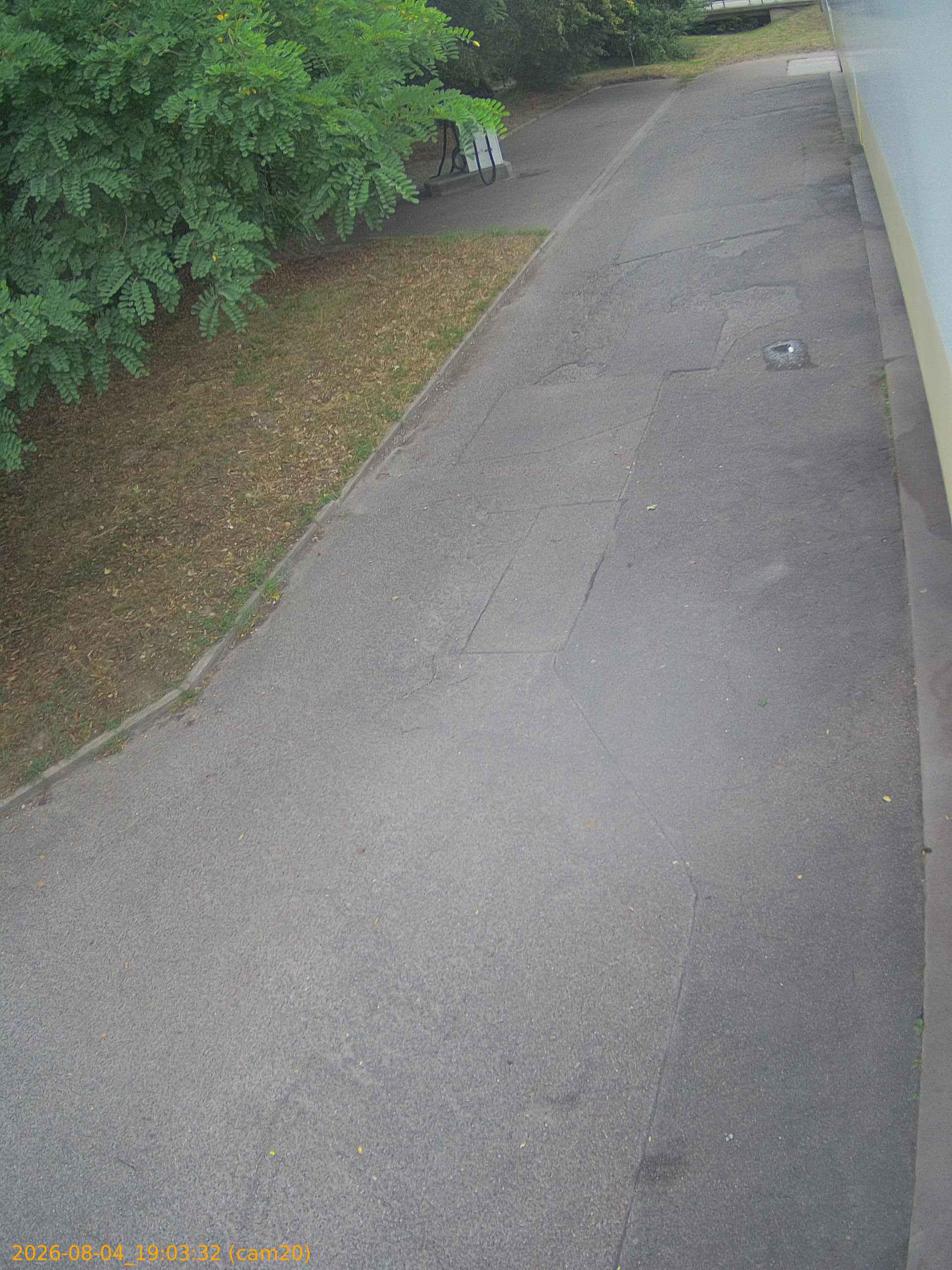 20260804190332
