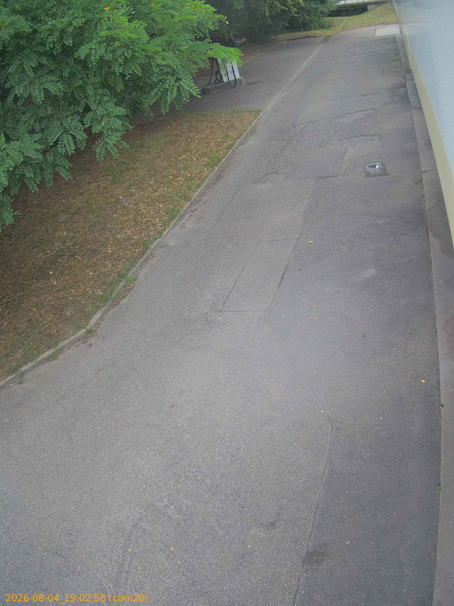 202608041902