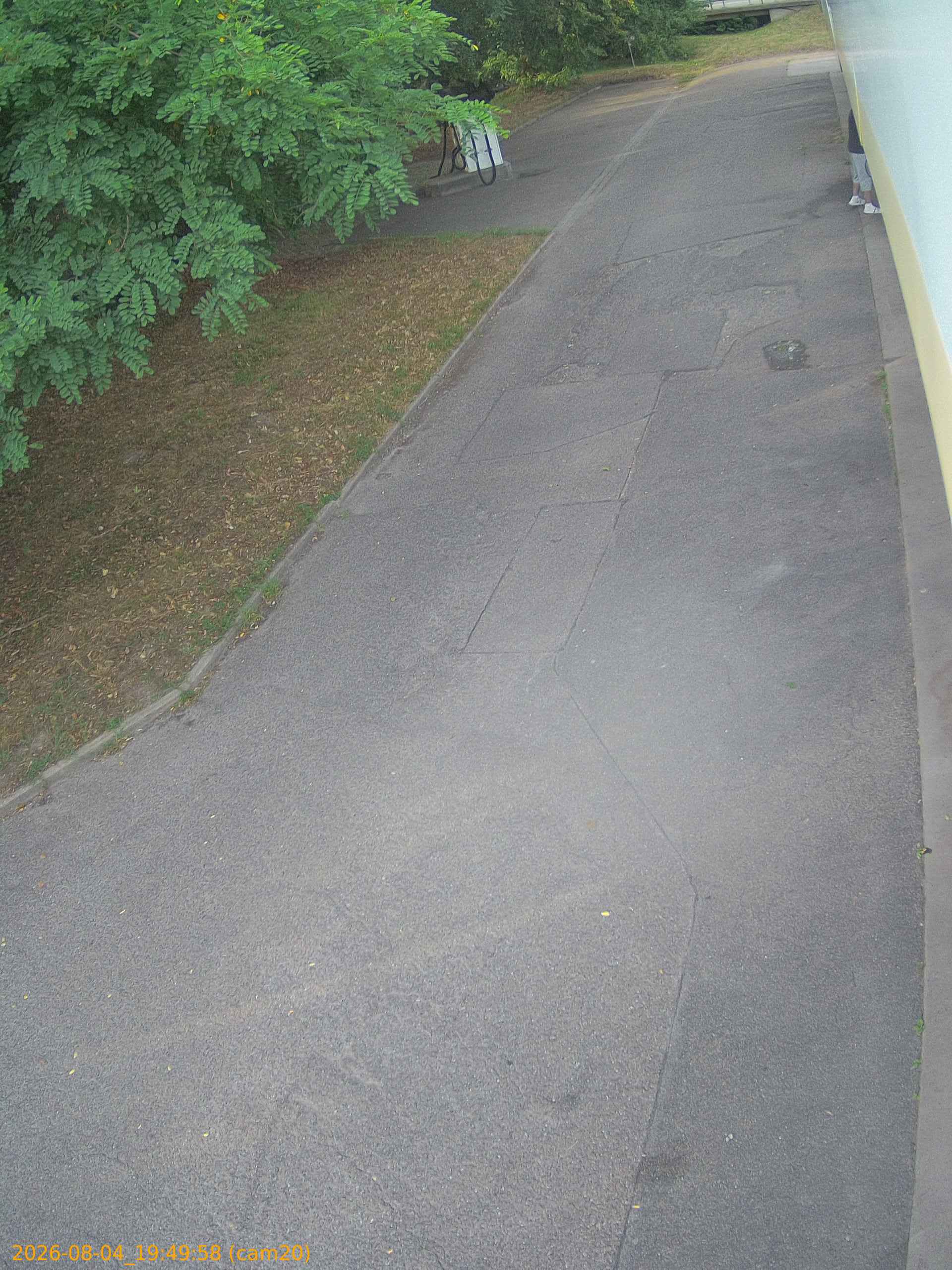 thumbnail_202608041949